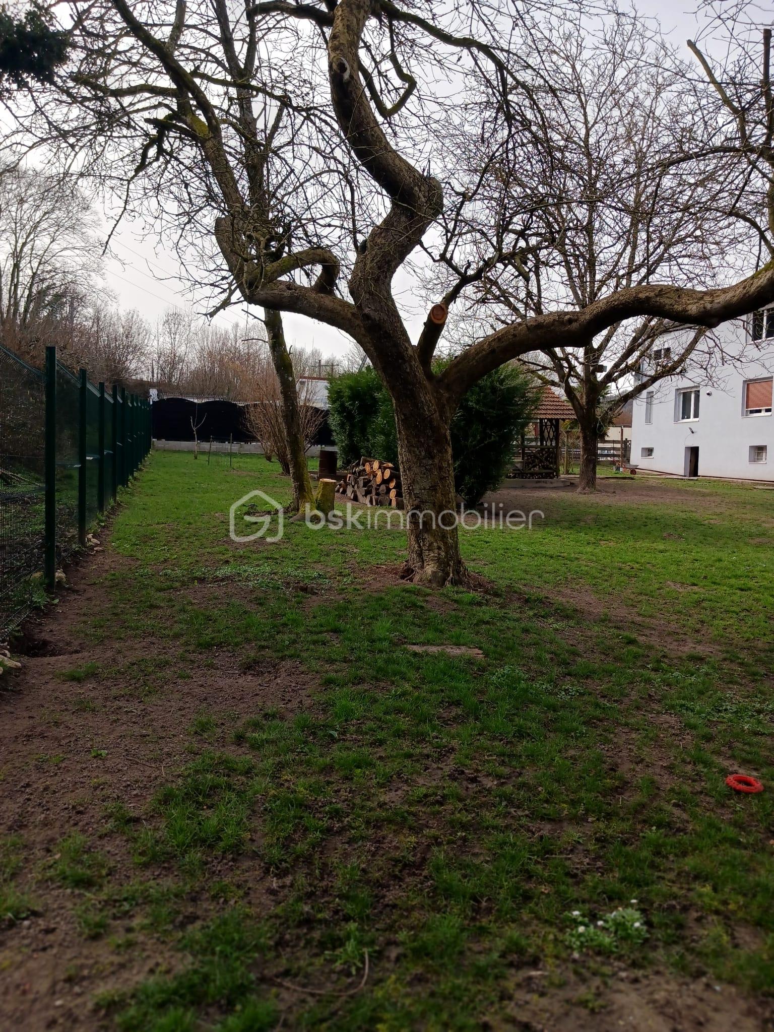 PHOTO-2026-03-06-14-40-25 10.jpg