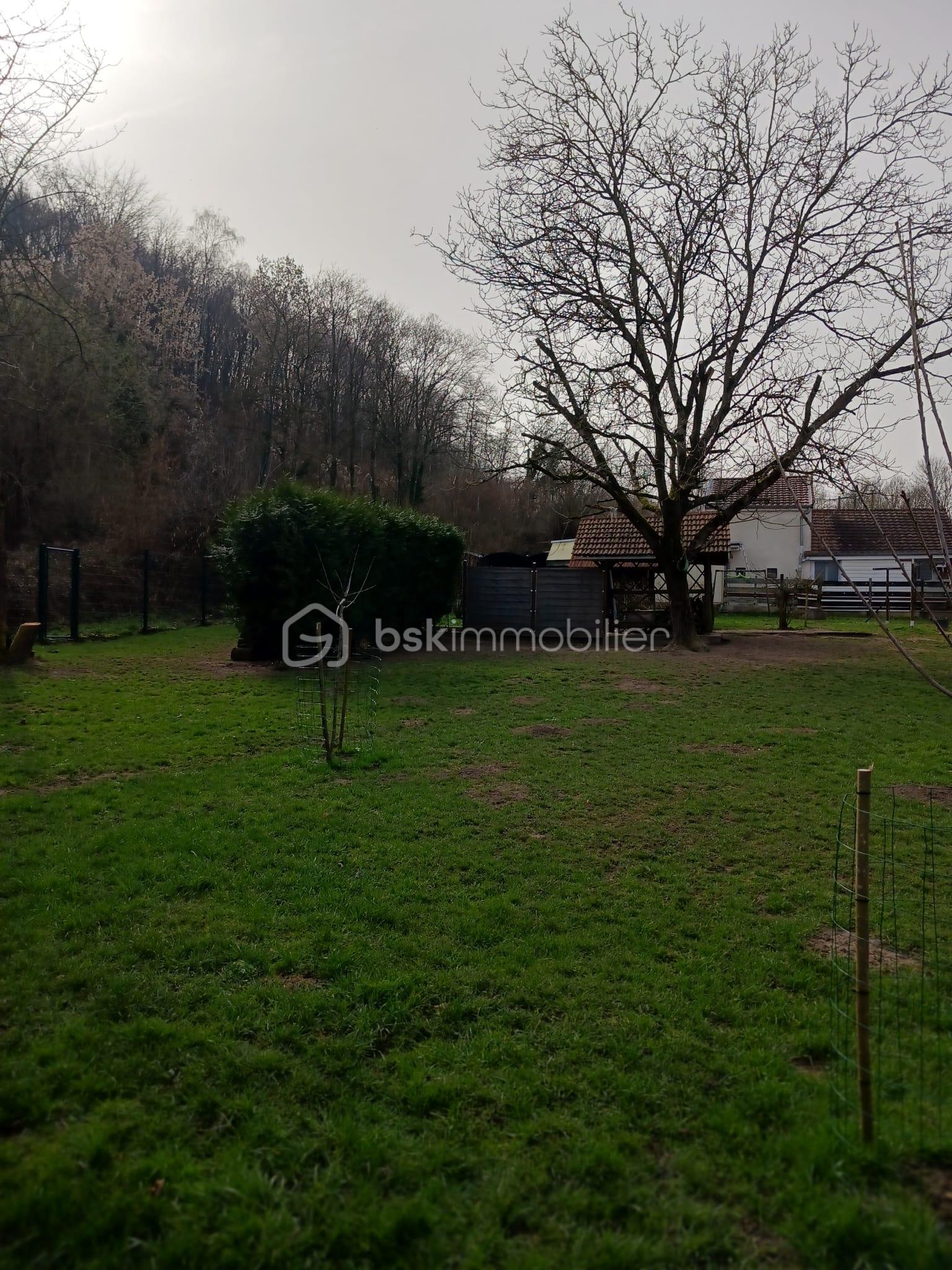 PHOTO-2026-03-06-14-40-25 8.jpg