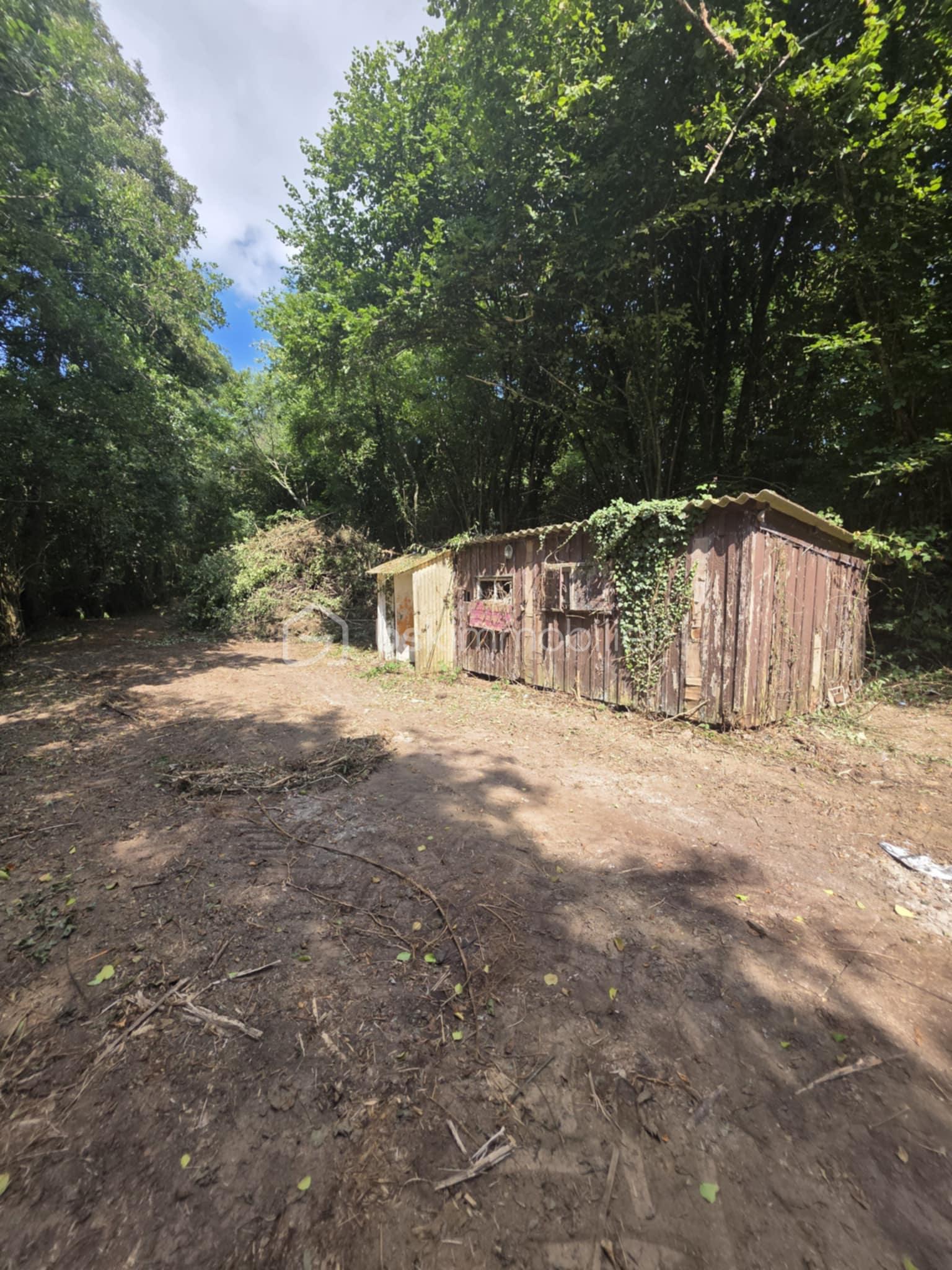 Terrain de 1 960 m² - 393a2d12-f41e-4d1f-a181-efee4467c726.jpg