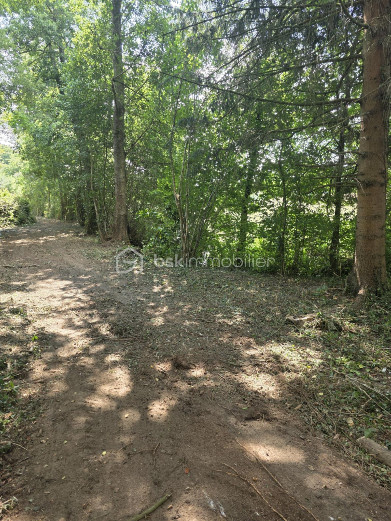 Terrain de 1 960 m² - b94216cf-2a6a-44f8-9eca-5c52b598a1bf.jpg