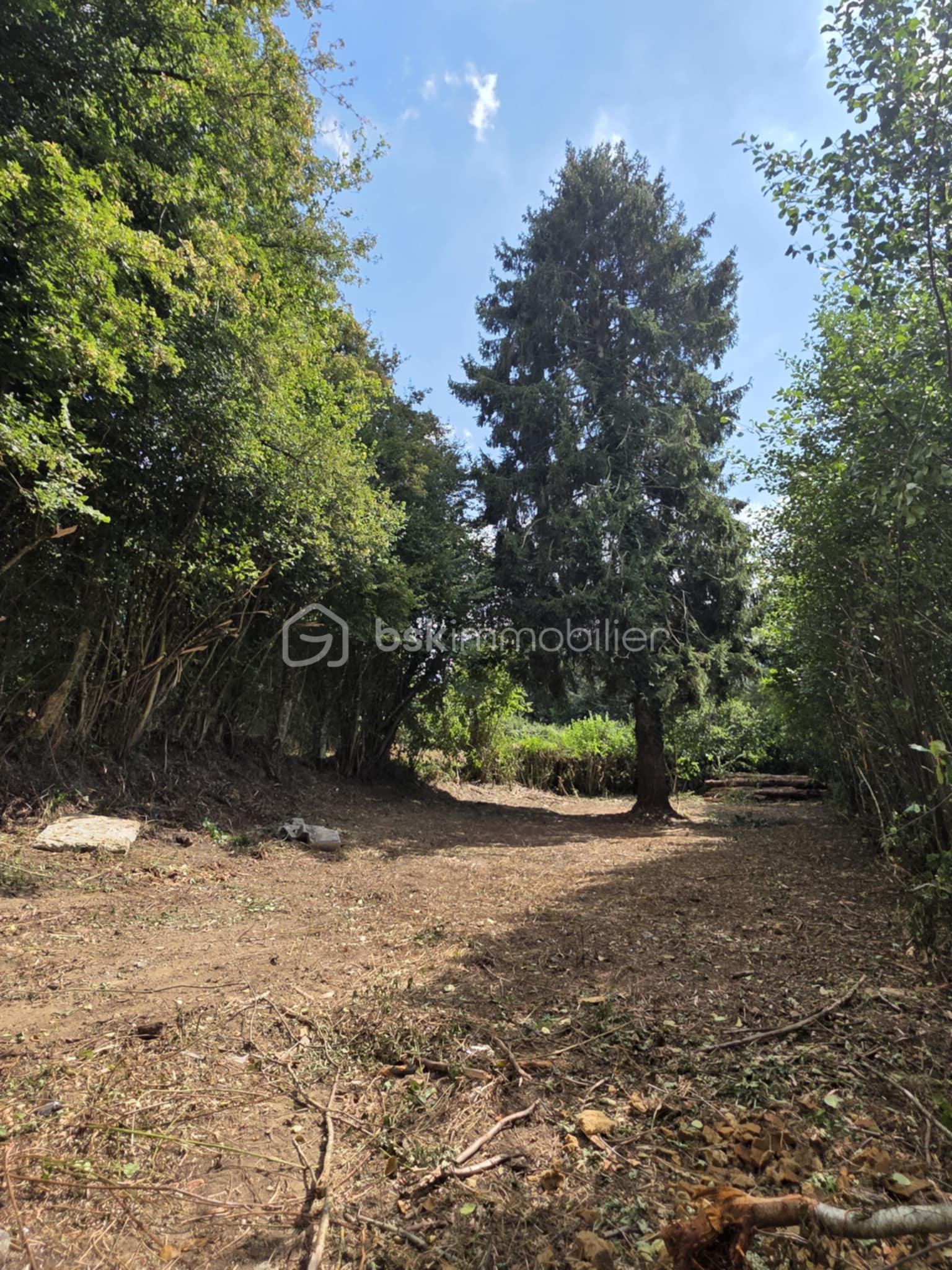 Terrain de 1 960 m² - c53a1e15-6adf-4ad2-ac9e-0000b7c36ac1.jpg