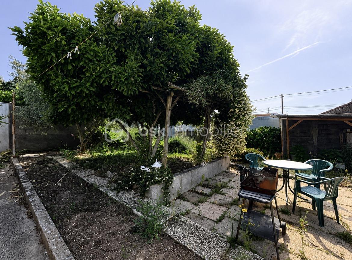 1 jardin.jpg