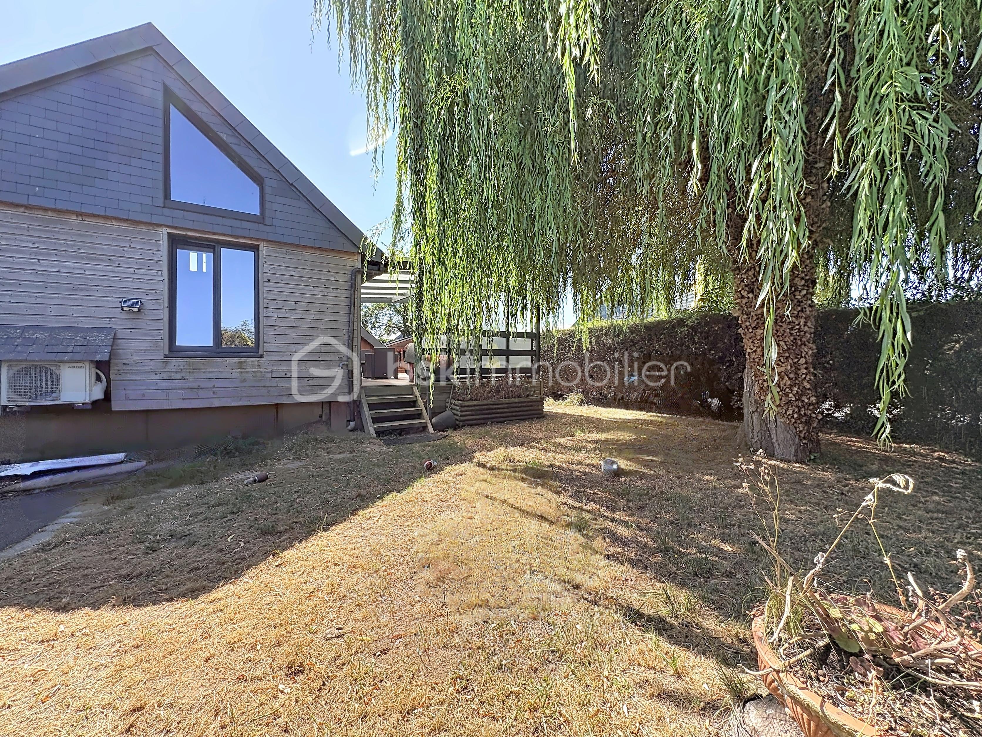 monni_00020.jpg