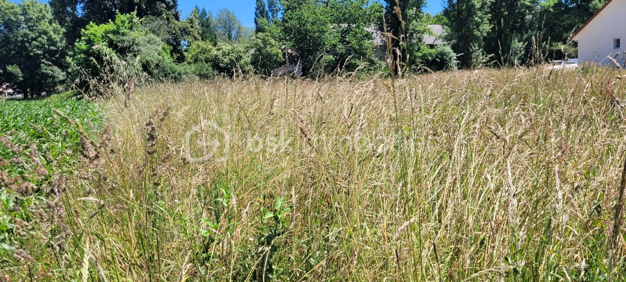 Terrain de 965 m² - 2.jpg