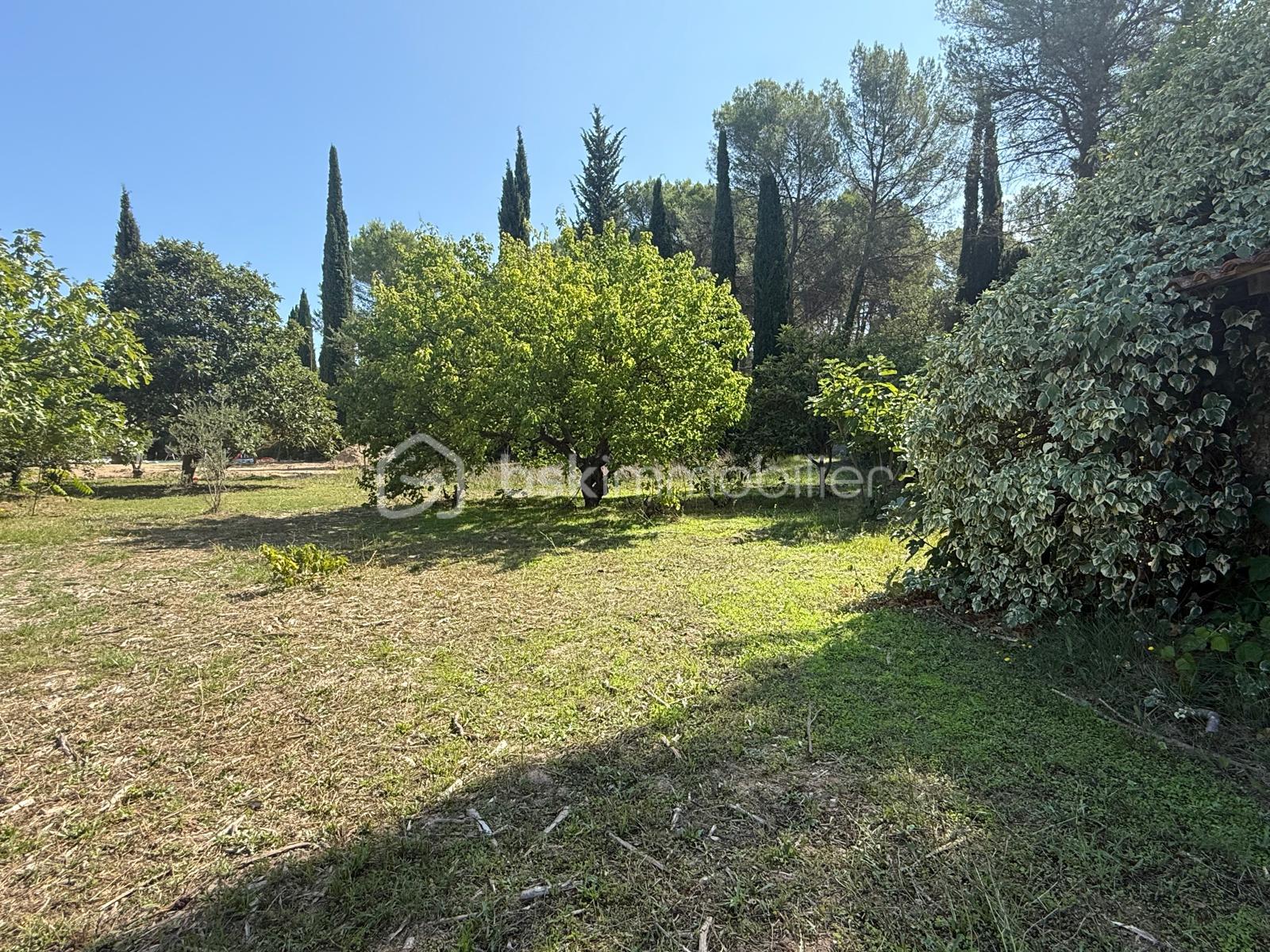 Terrain de 1 077 m² - IMG-20251105-WA0006.jpg