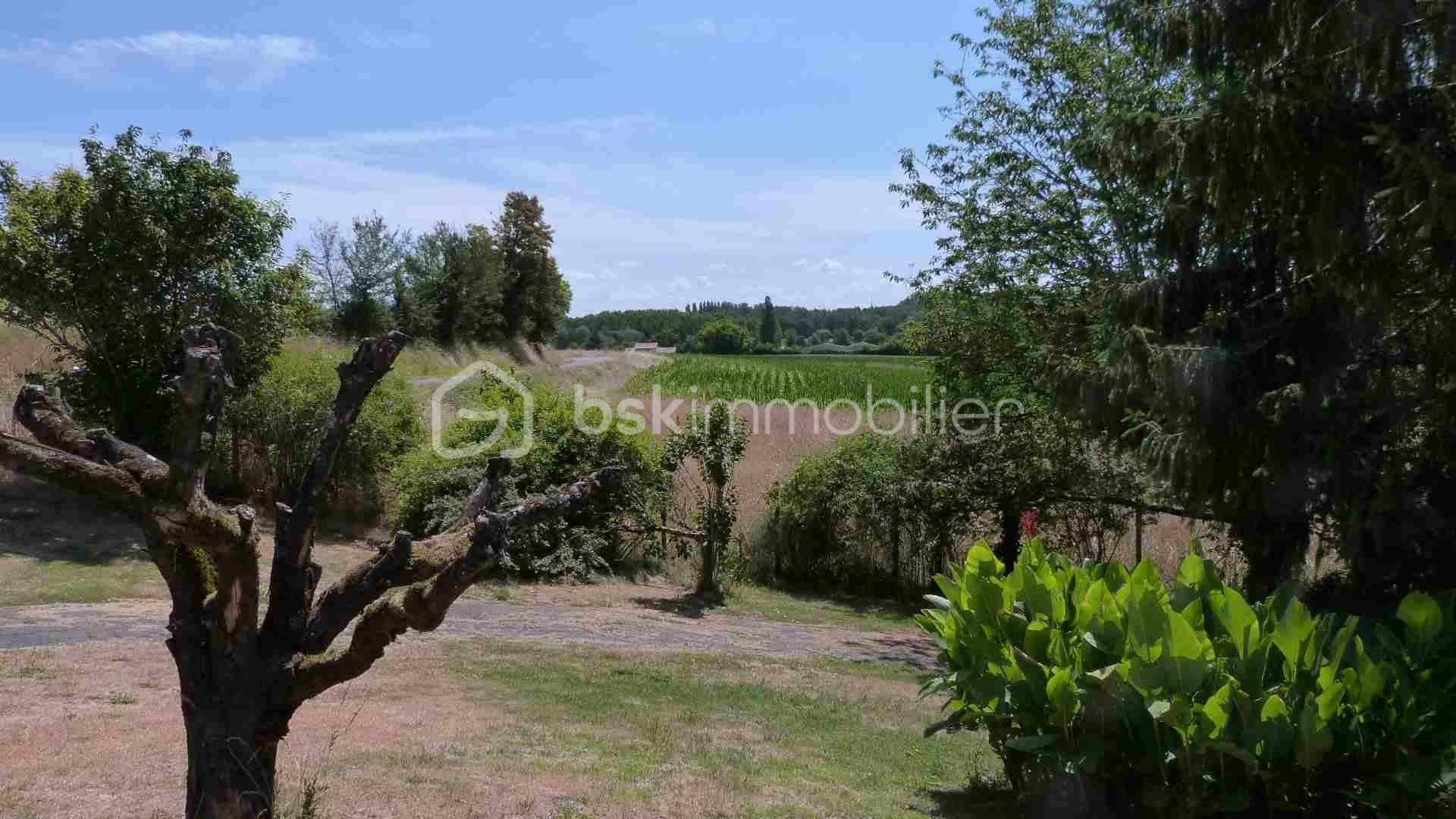 AV4.JPG