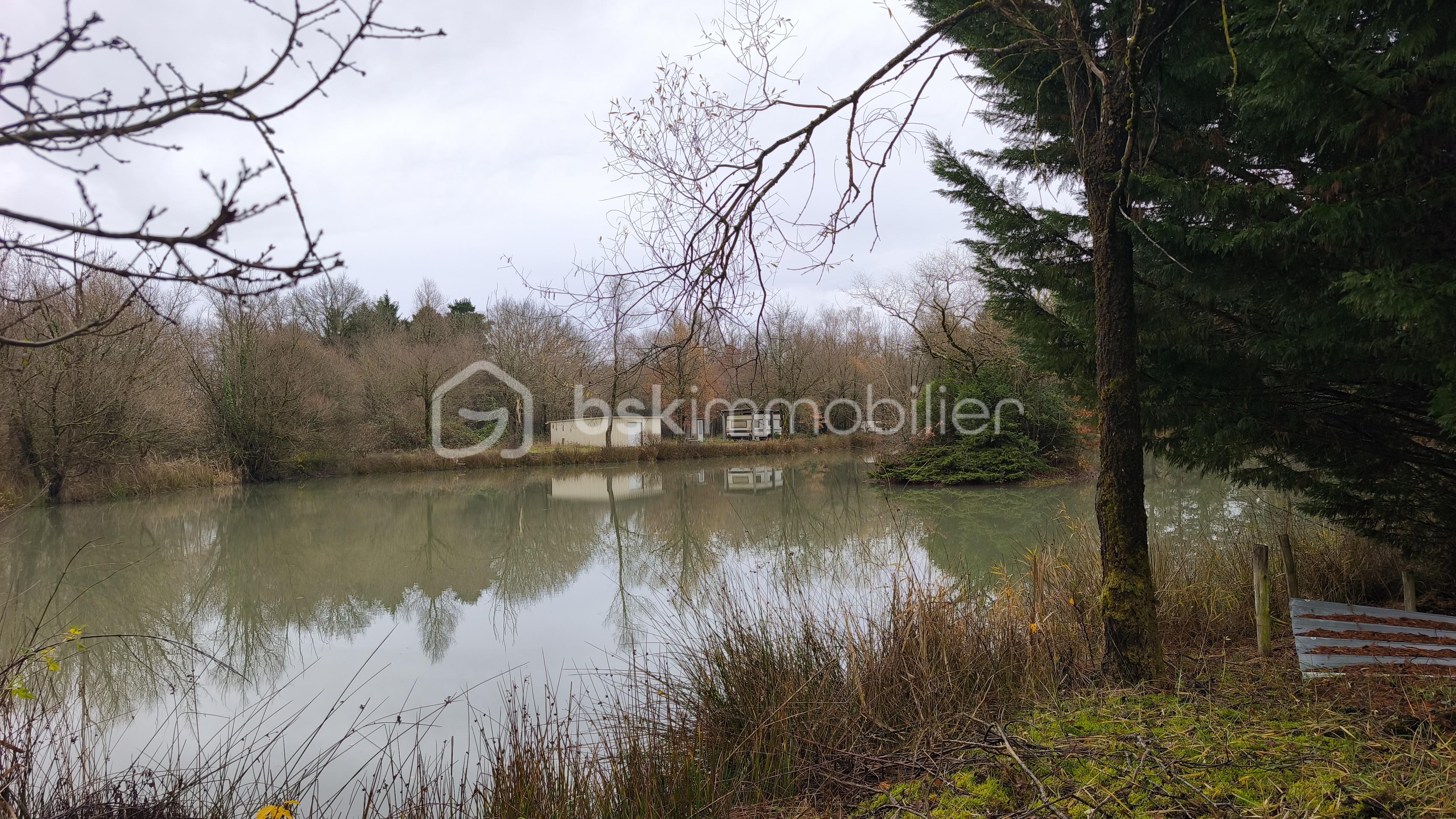 Terrain de 81 372 m² - 1767360746721.jpg