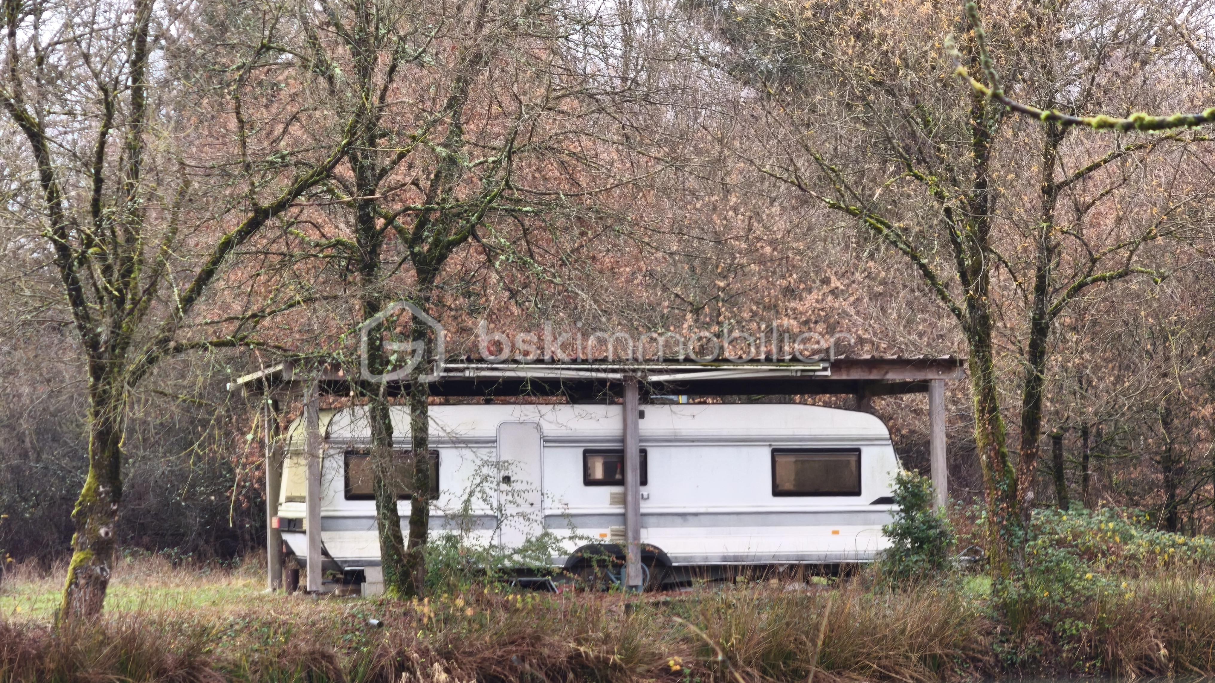 Terrain de 81 372 m² - 1767360746691.jpg