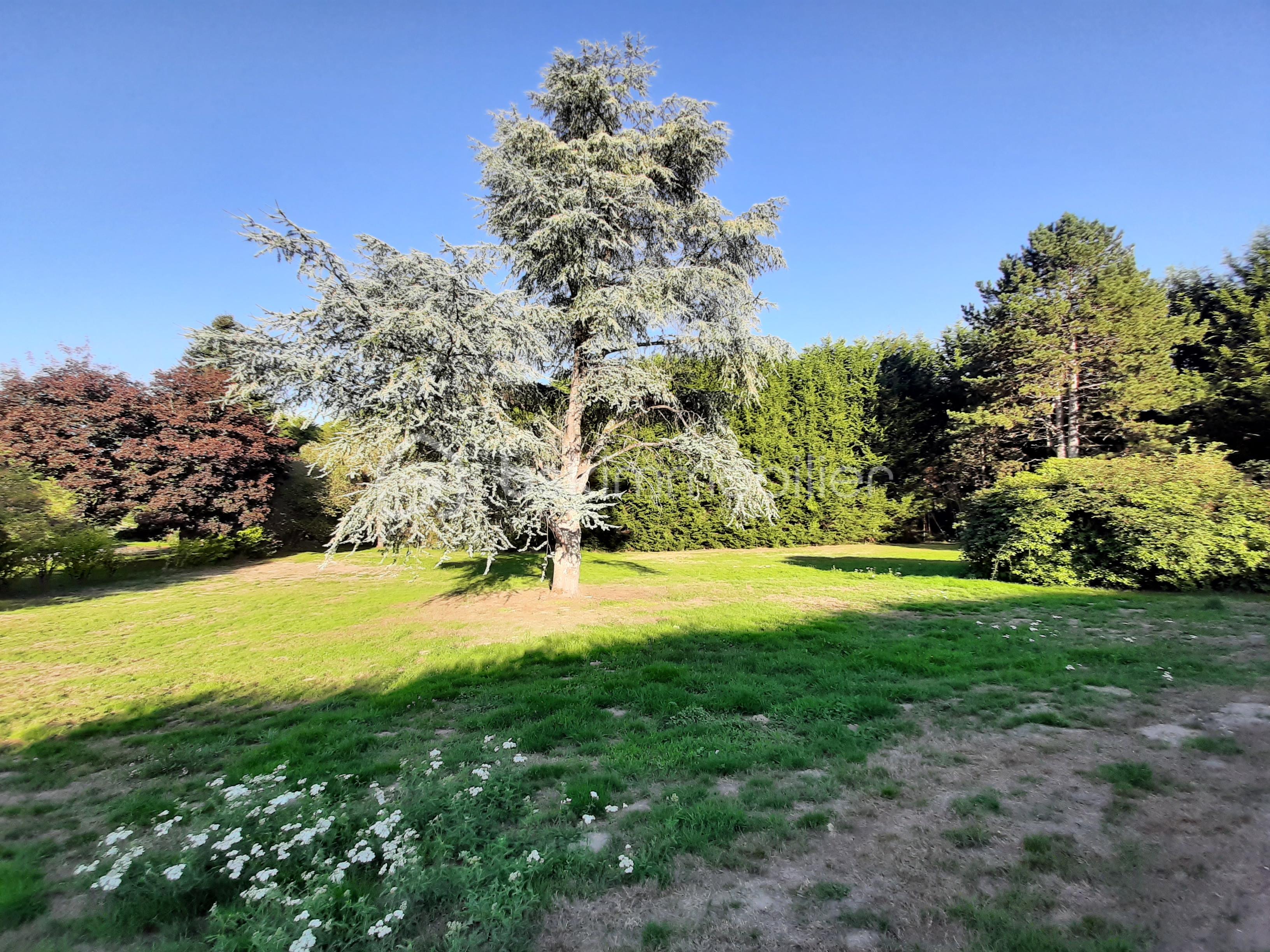 Lotissement de 3 194 m² - 20250917_182224.jpg
