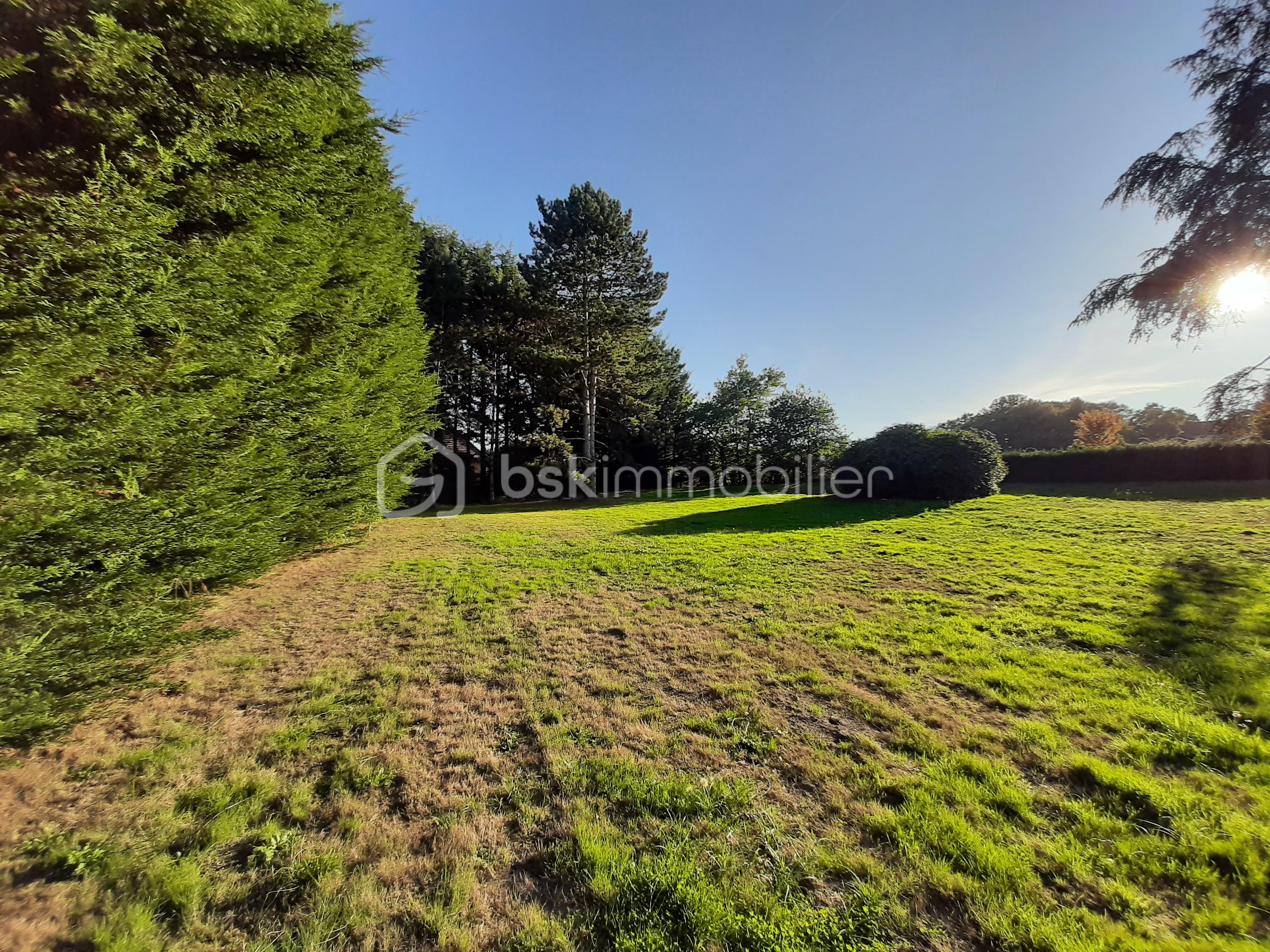 Lotissement de 3 194 m² - 20250917_182424.jpg