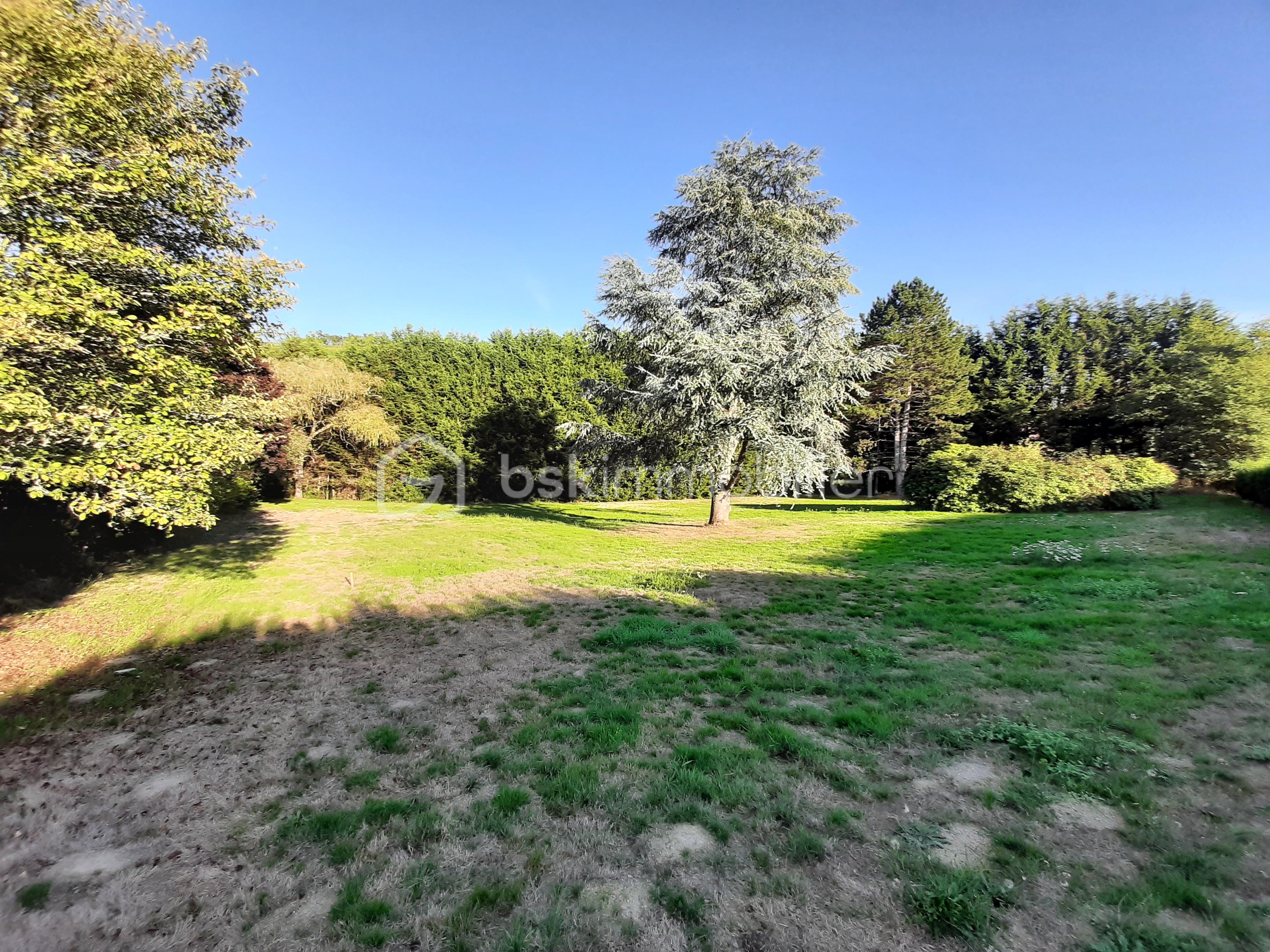 Lotissement de 3 194 m² - 20250917_182200.jpg