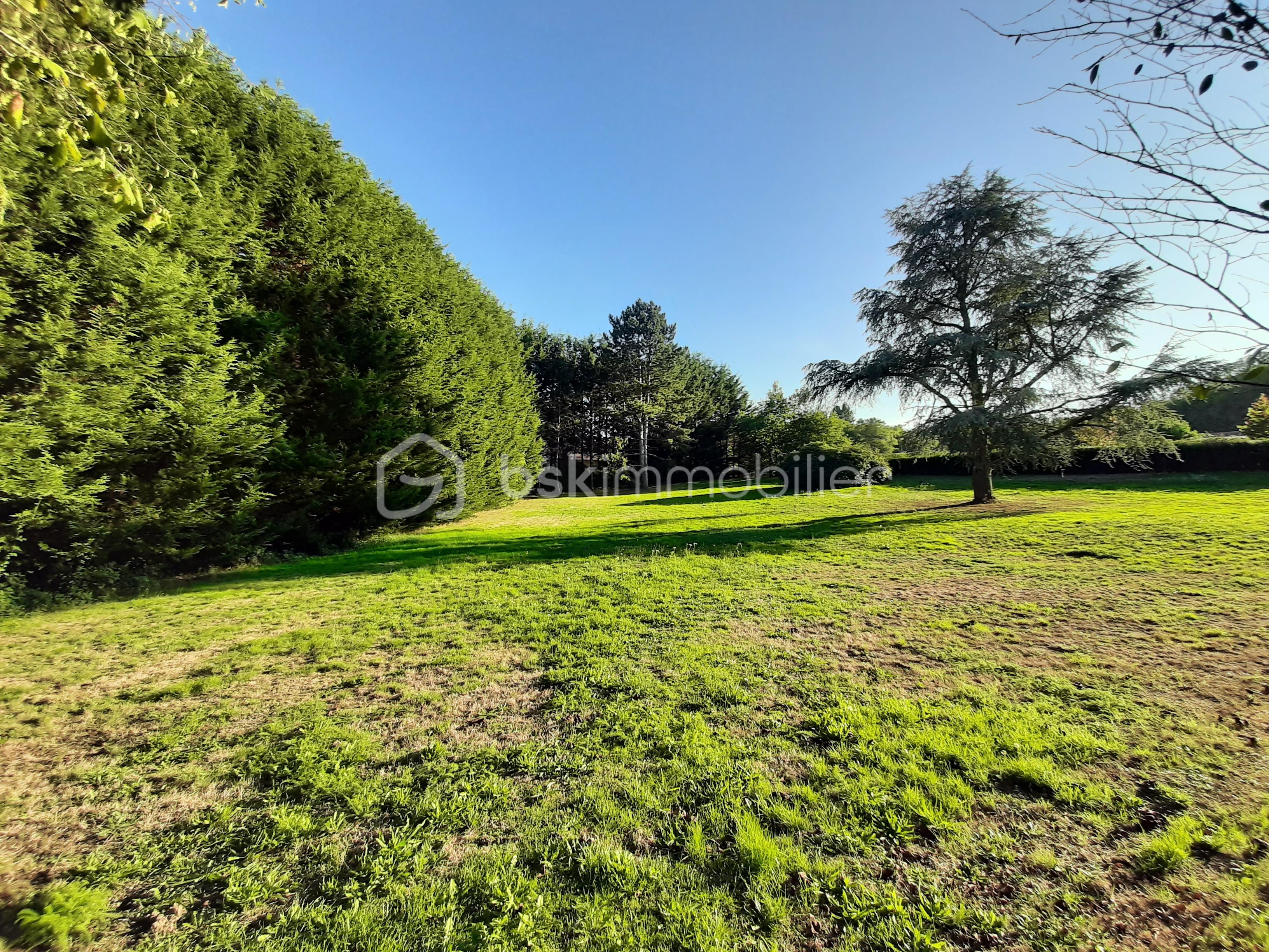 Lotissement de 3 194 m² - 20250917_182052.jpg
