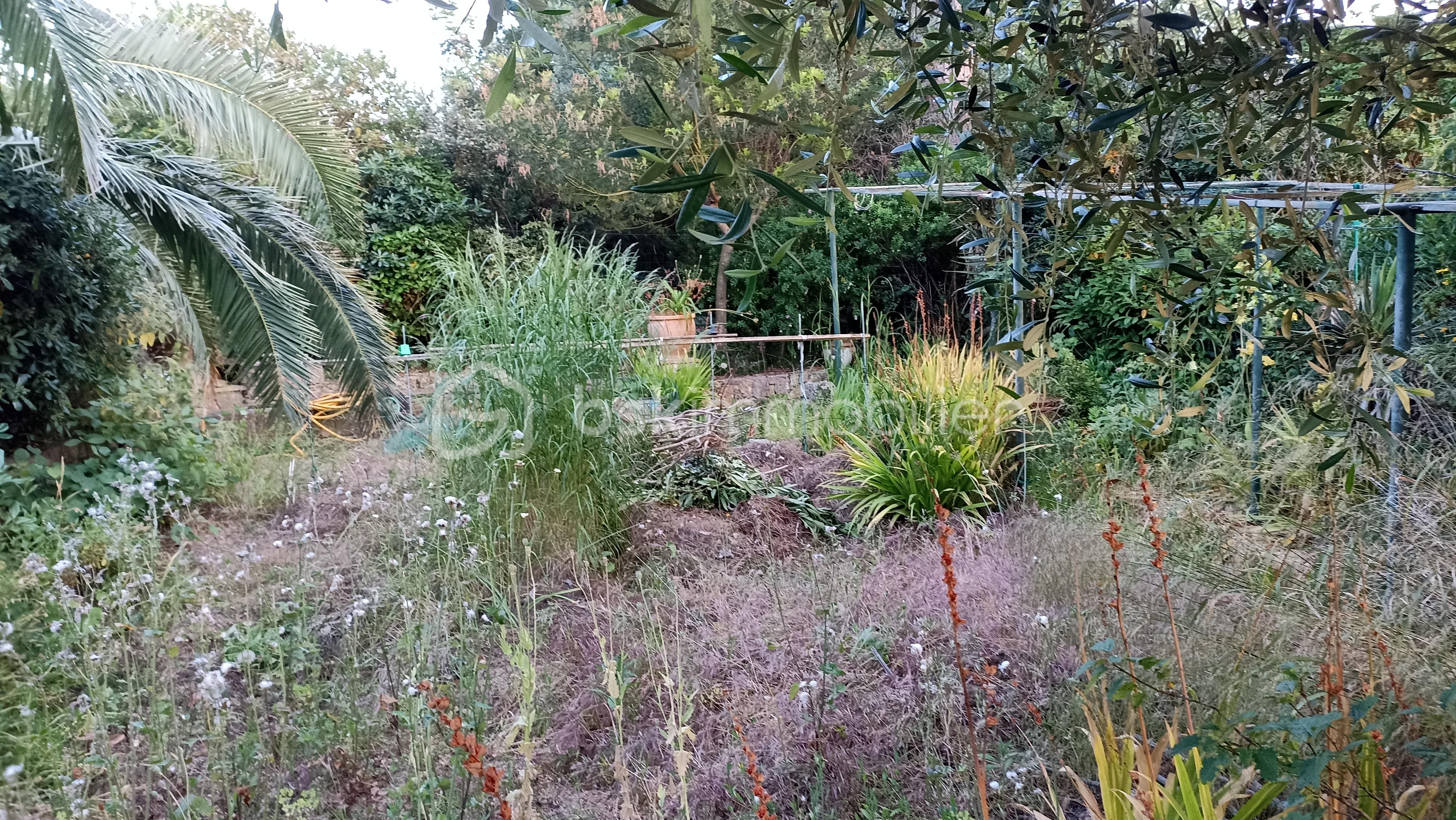 Villa de 251,70 m² - 1762617522793.jpg