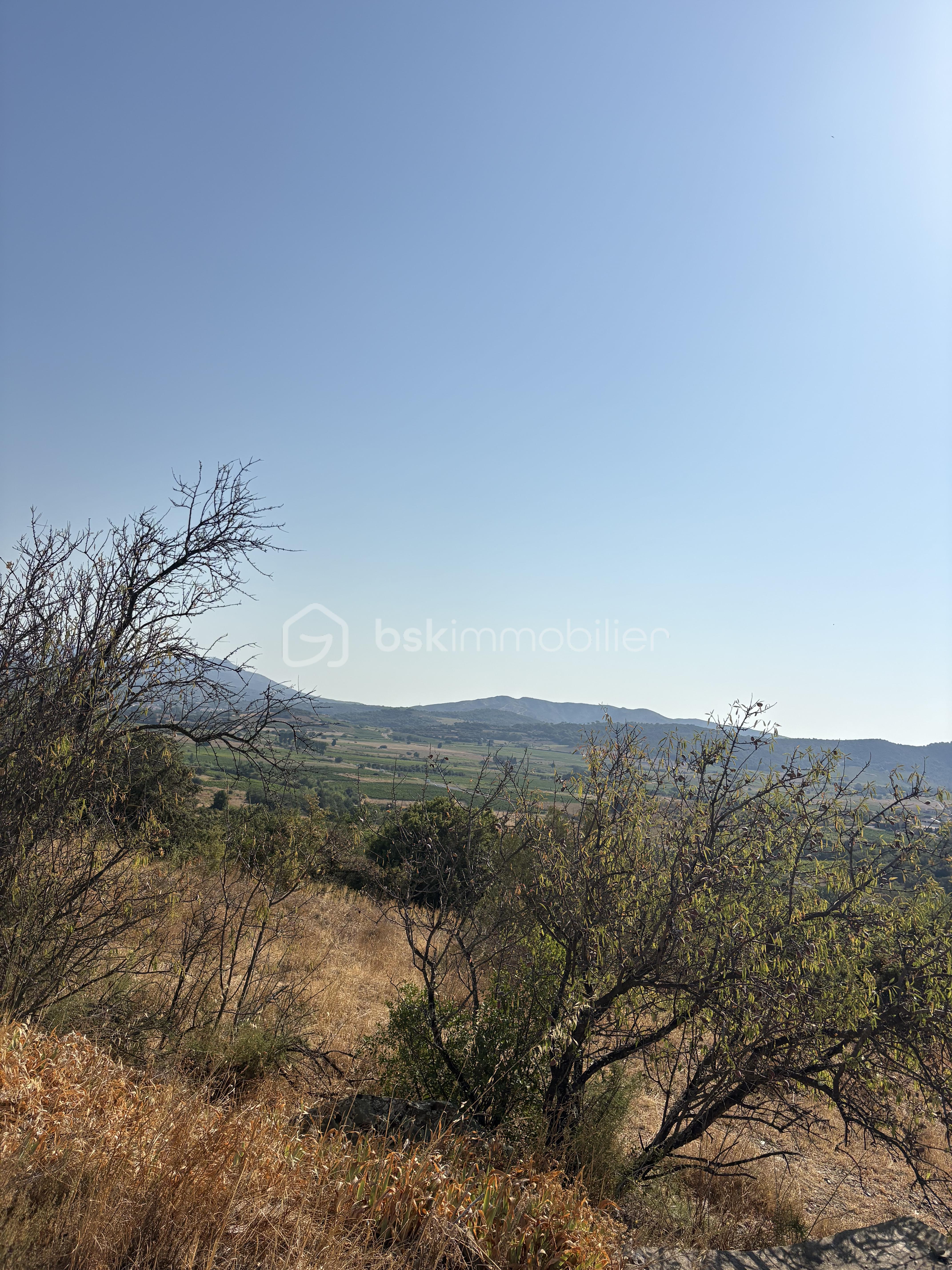 IMG_8915.jpeg