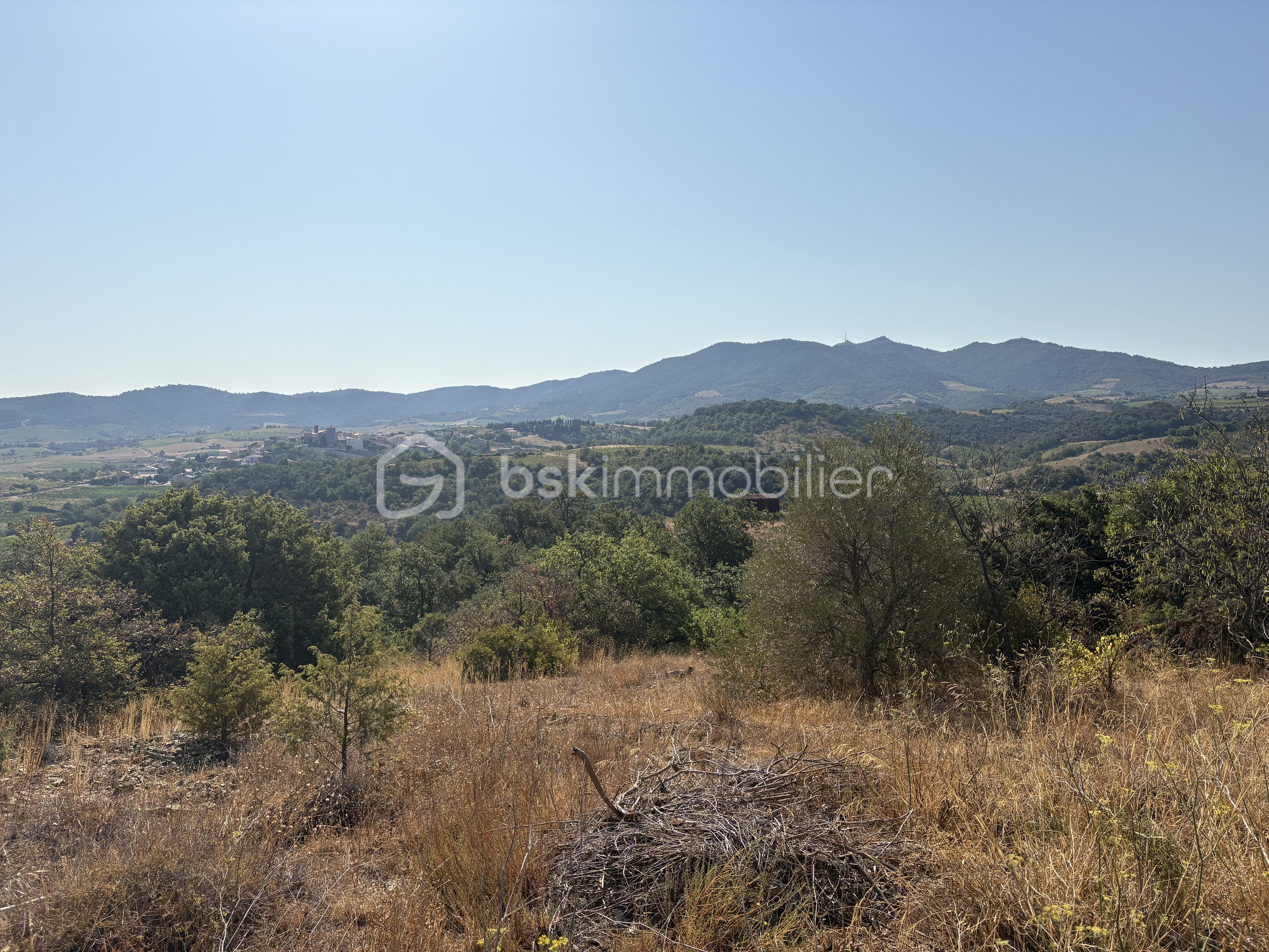 IMG_8913.jpeg