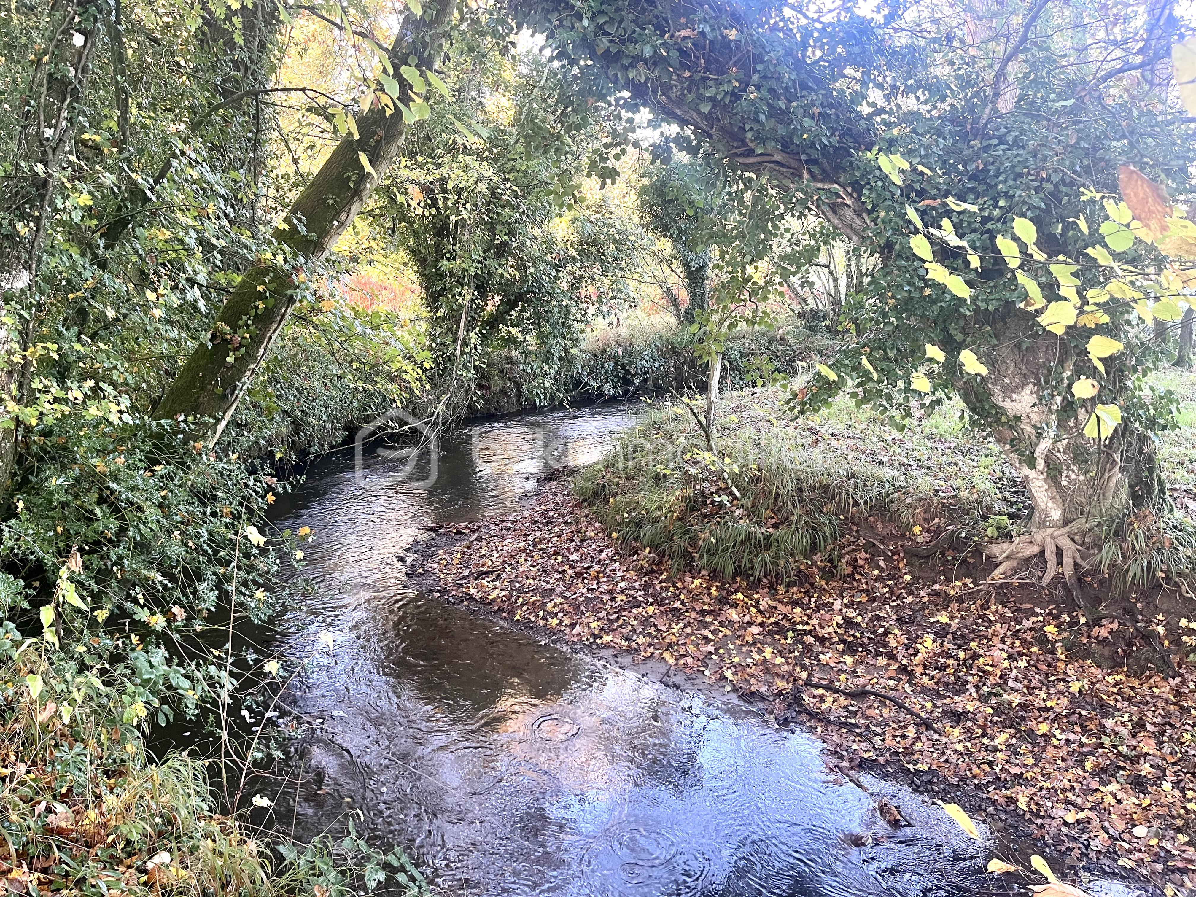 Maison de 150 m² - IMG_4522.jpeg