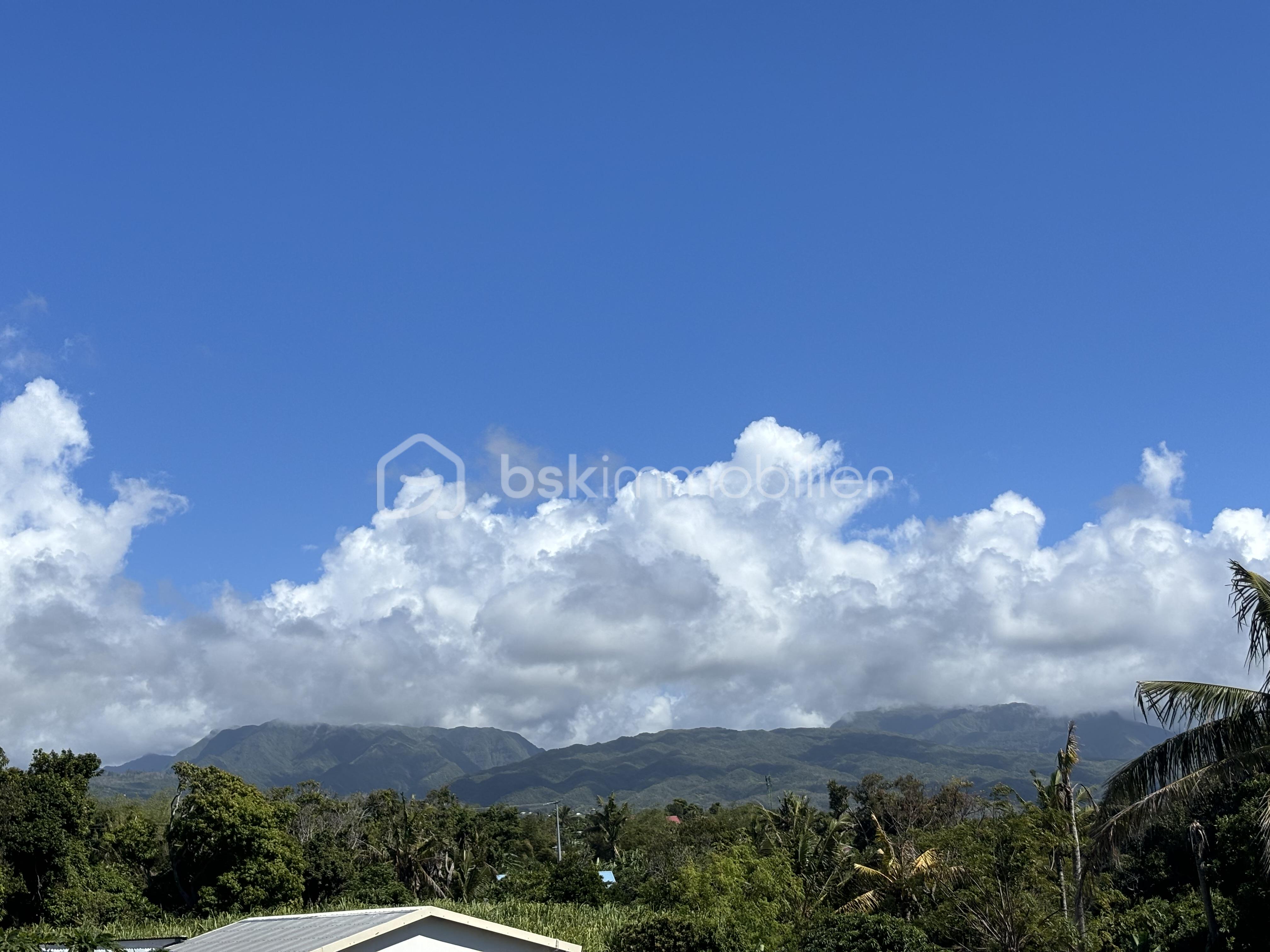 vue montagne.JPG