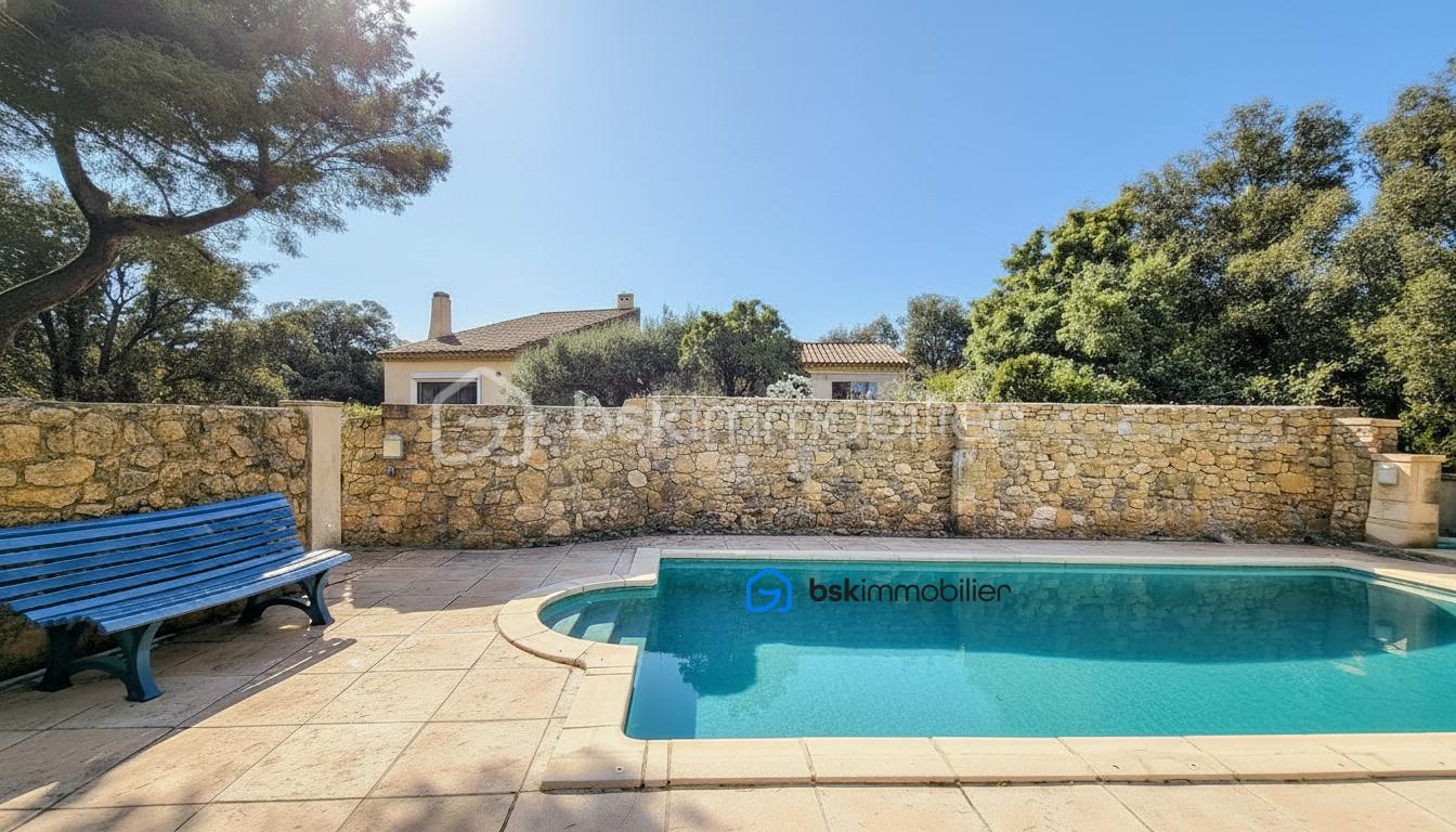 Piscine filigrane 1 Maison Aureille Barras.png