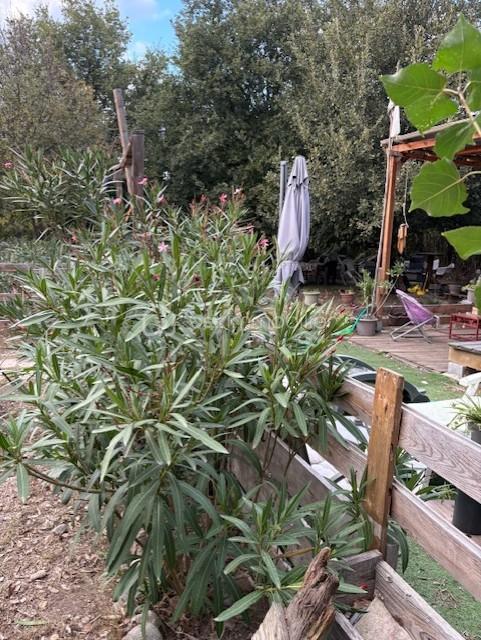 Terrain de loisirs de 3 325 m² - PHOTO COTE TERRASSE MARIE.jpg