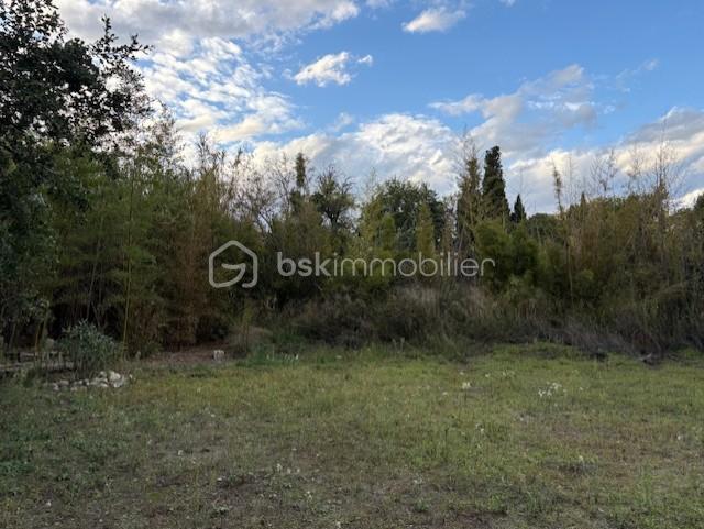 Terrain de loisirs de 3 325 m² - PHOTO BAMBOU MARIE.jpg