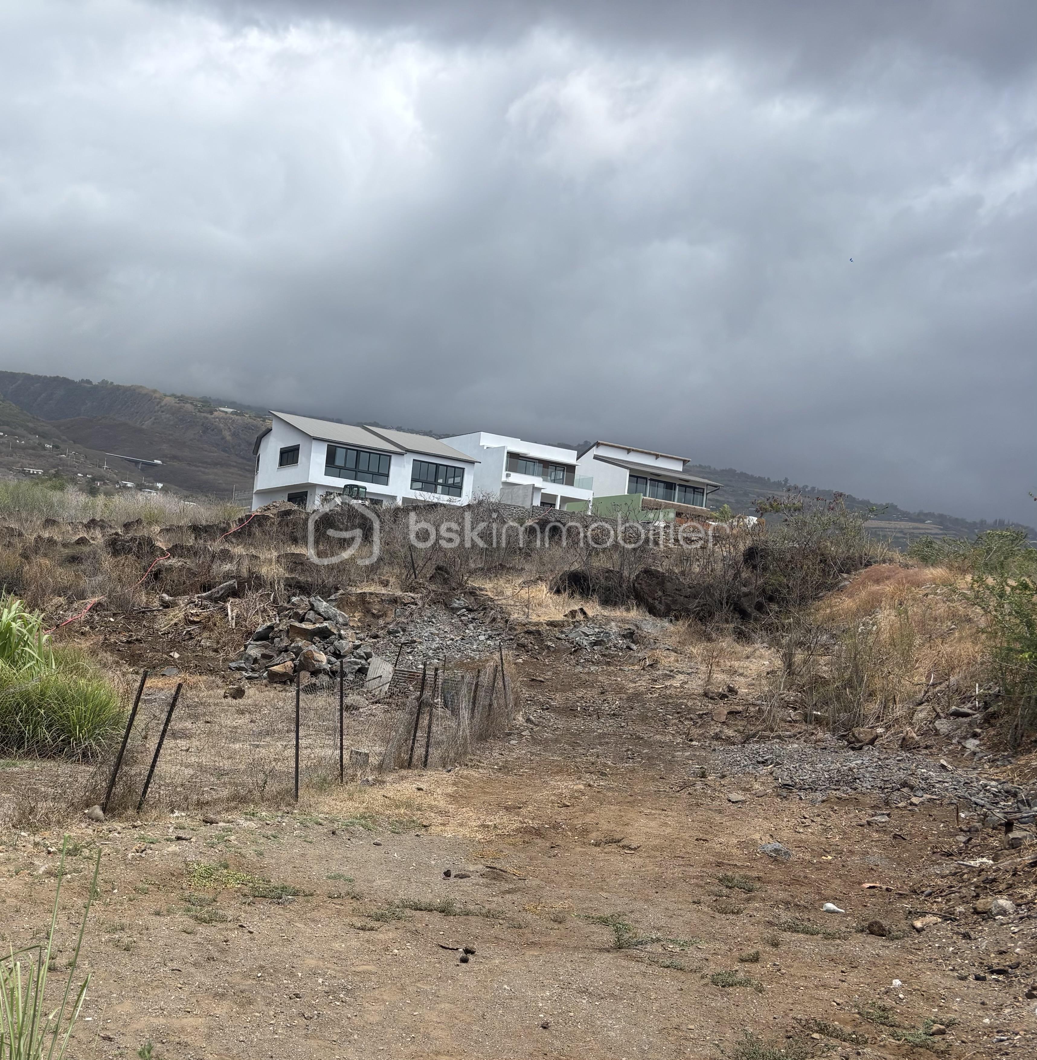 Terrain de 300 m² - IMG_3906.jpeg