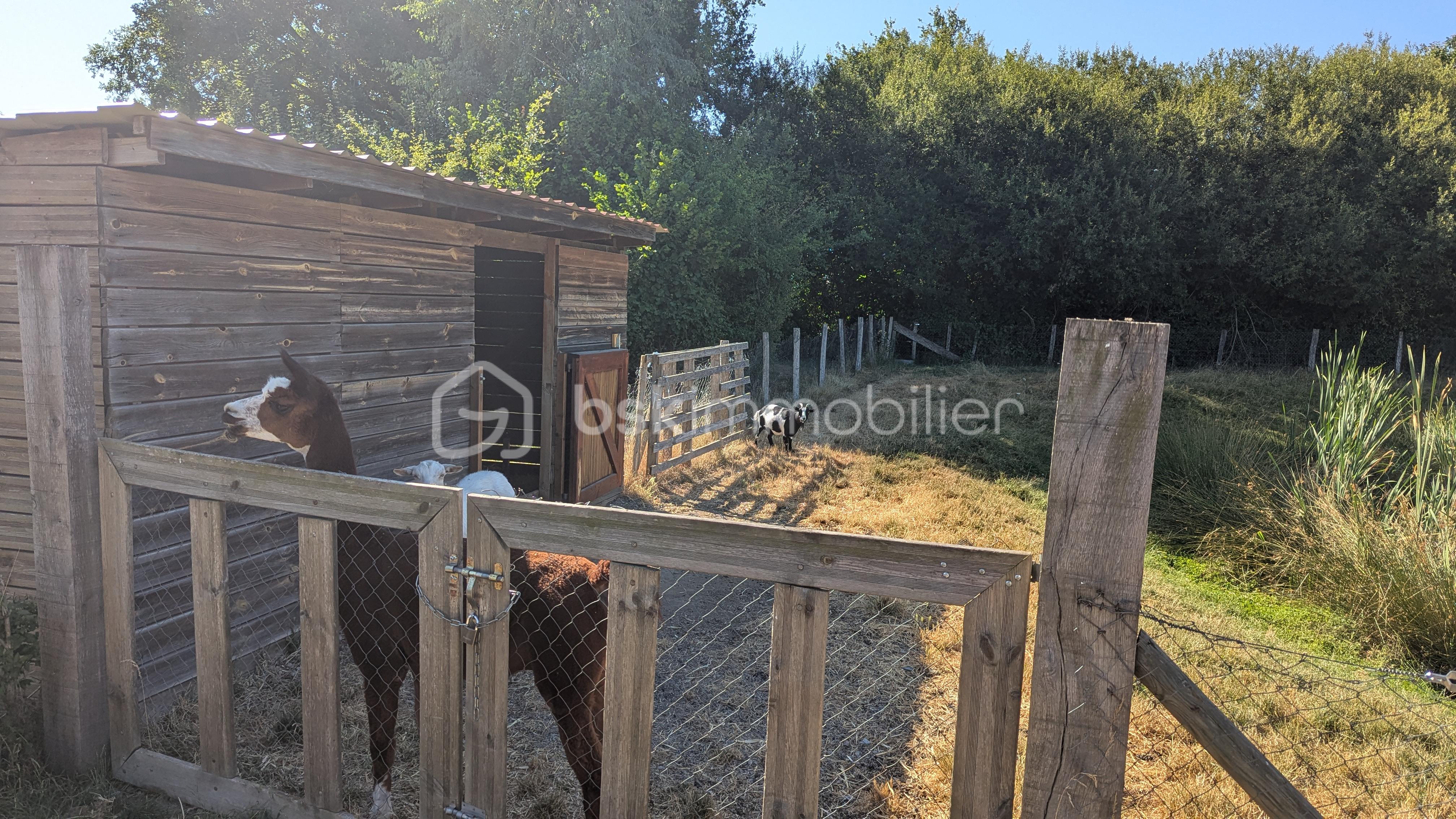 Terrain de 561 m² - PXL_20250711_075917997.jpg