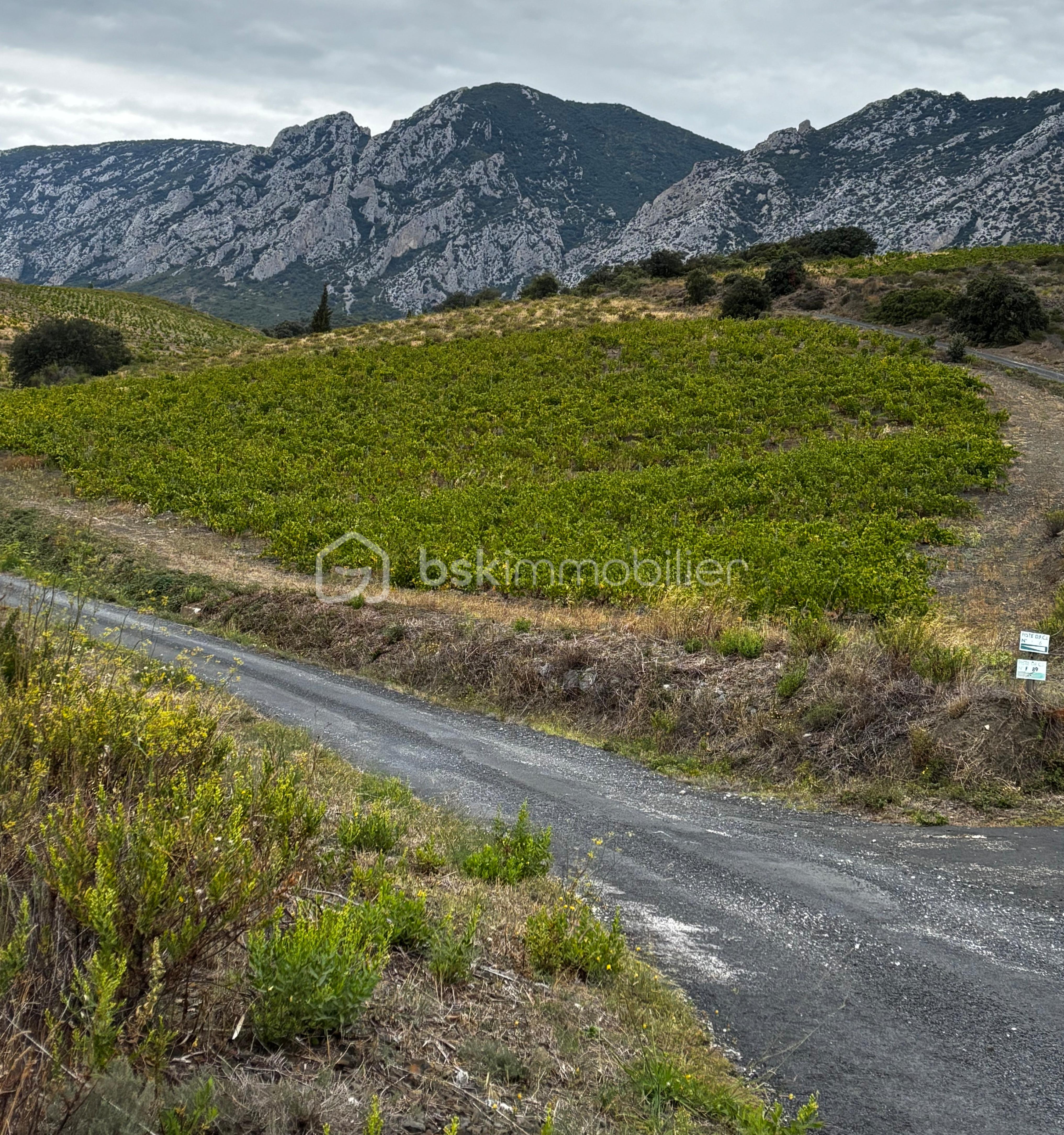 Terrain viticole de 4 915 m²