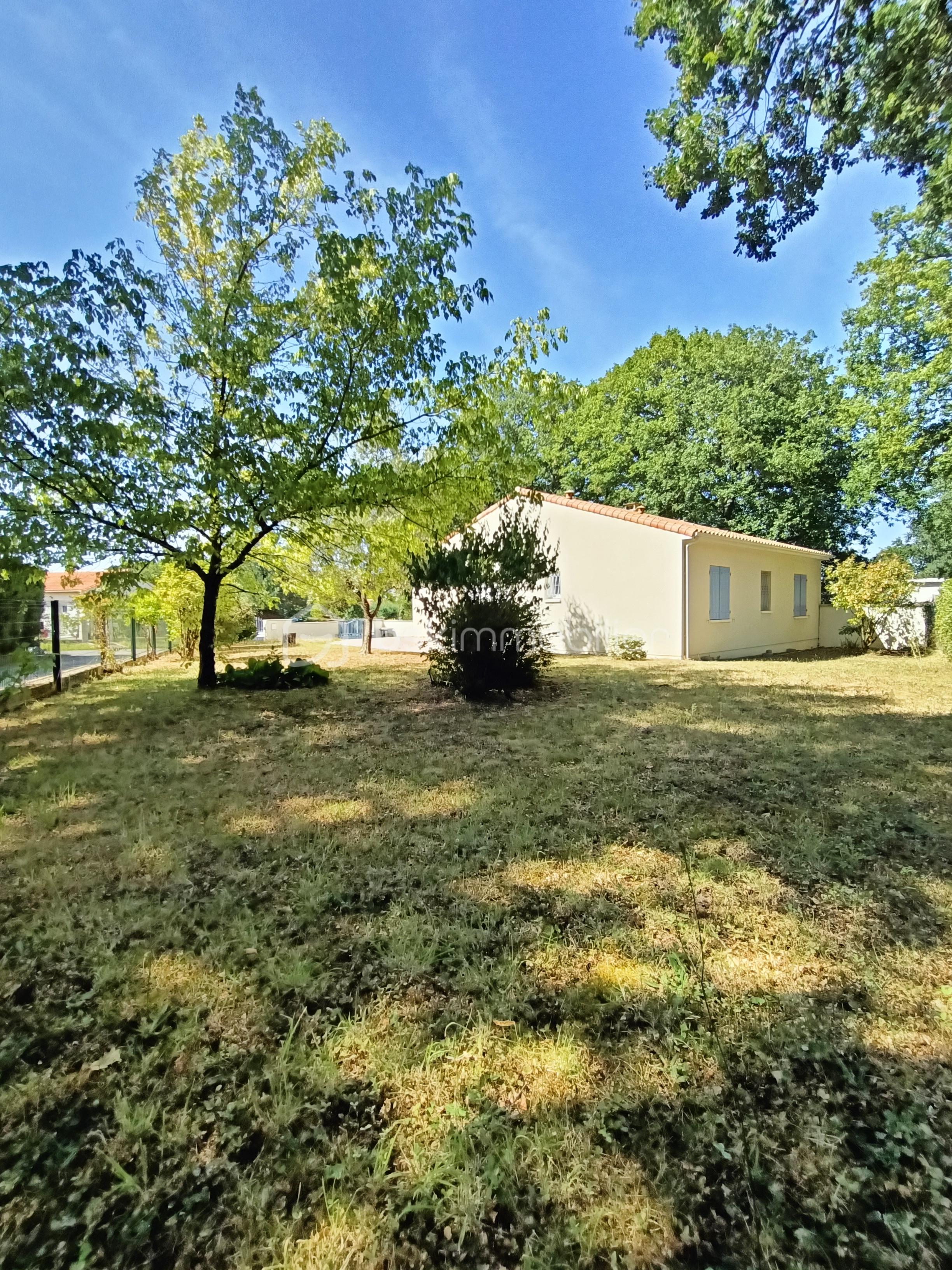 Jardin arrière.jpg
