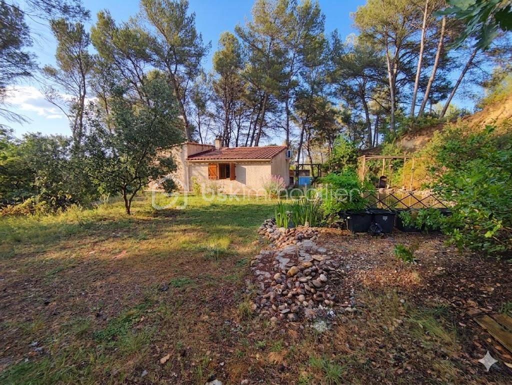 jardin arriere vue sur cabanon.jpg