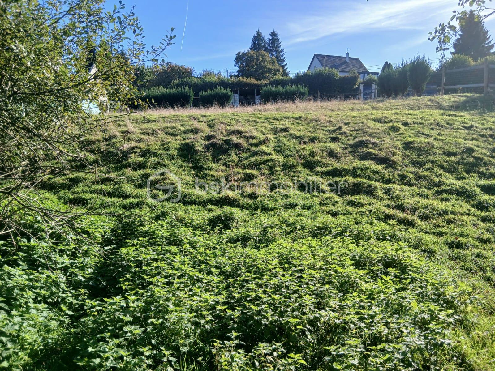 Terrain de 1 250 m² - IMG-20251007-WA0011.jpg