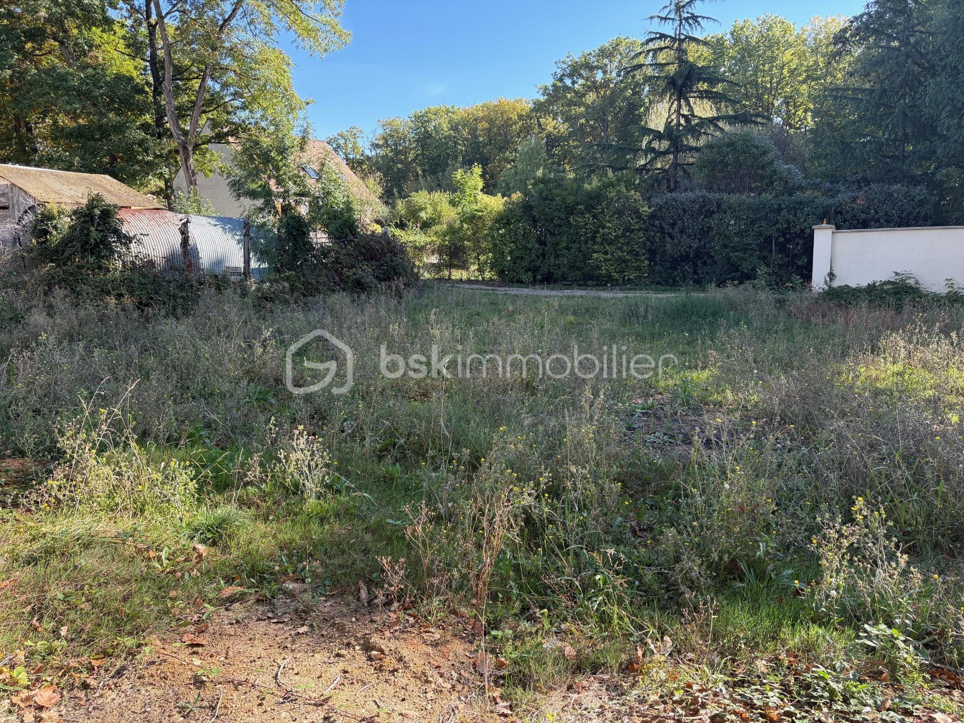 Terrain de 1 343 m² - thumbnail_IMG_5213.jpg
