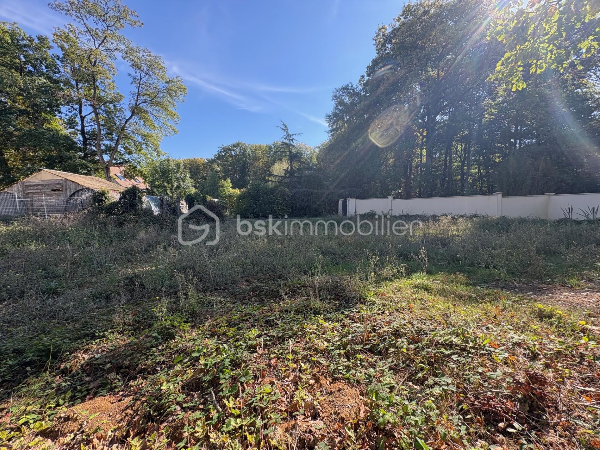 Terrain de 1 343 m² - thumbnail_IMG_5212.jpg