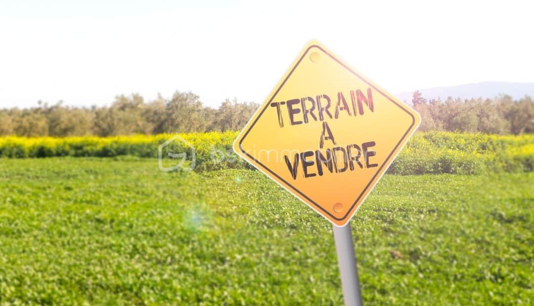 Terrain de 1 343 m² - thumbnail_IMG_5387.jpg