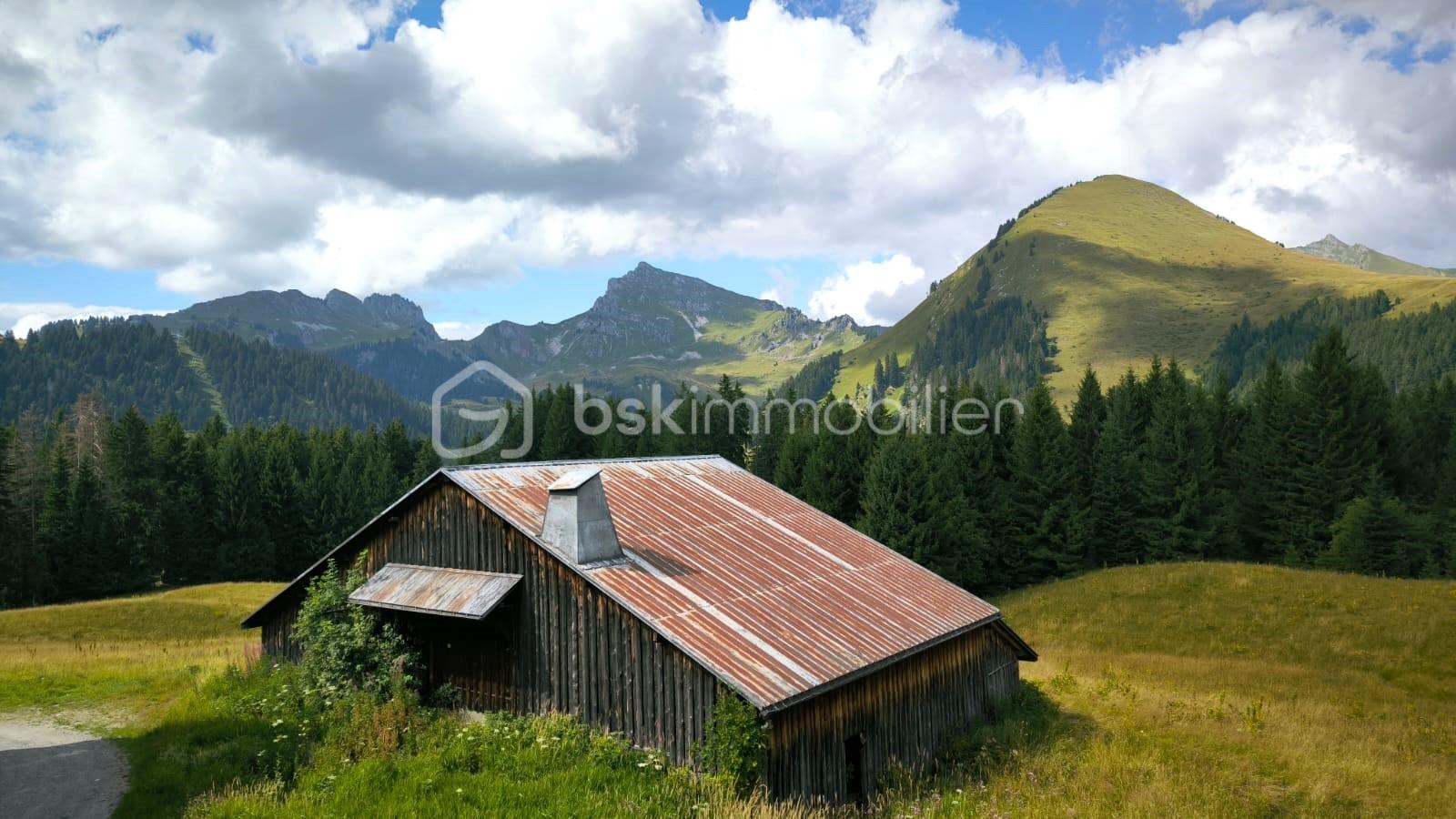 Appartement de 20 m² - vue.jpg