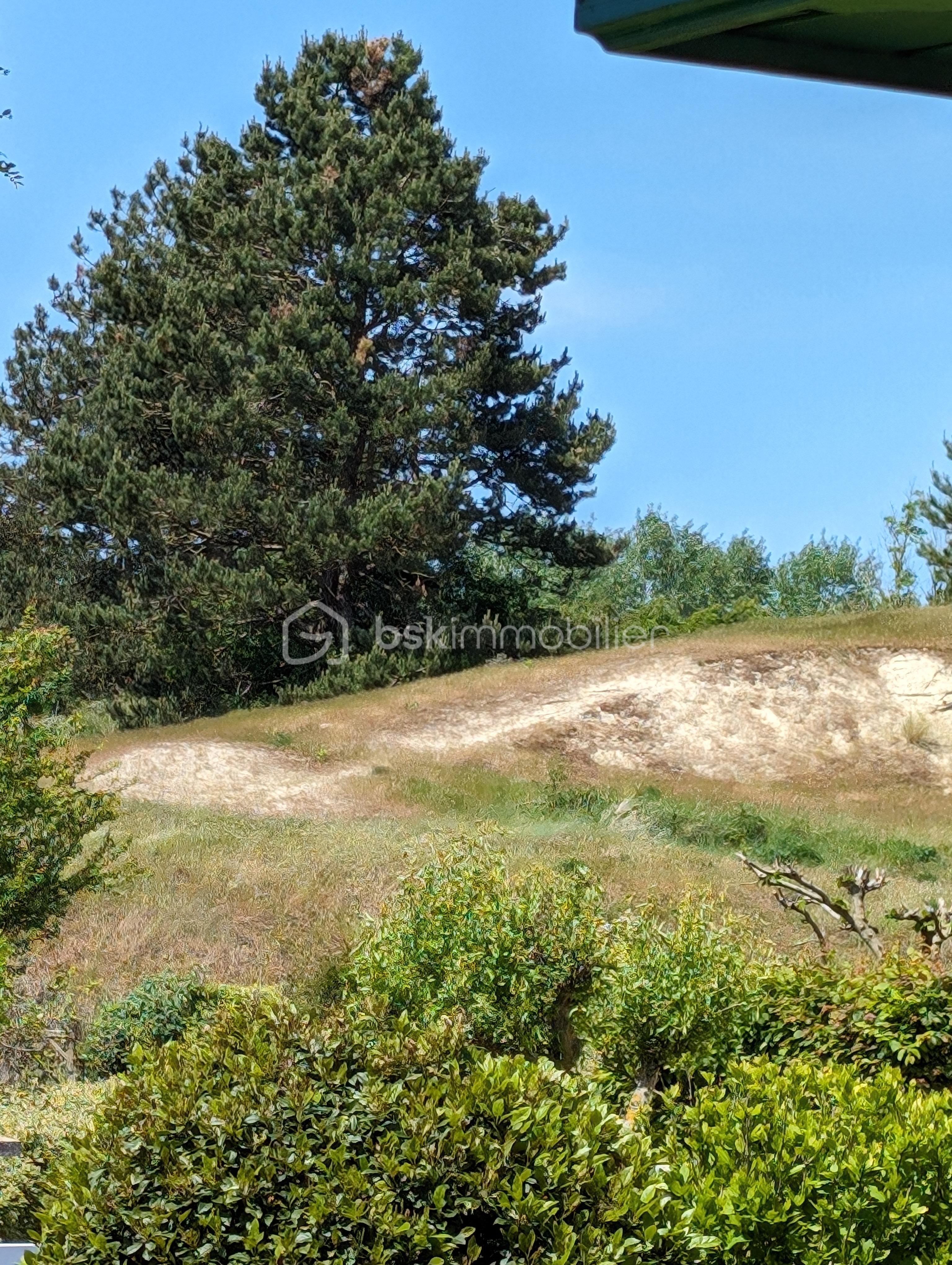 EXTERIEUR MAI 2024 (4).jpg