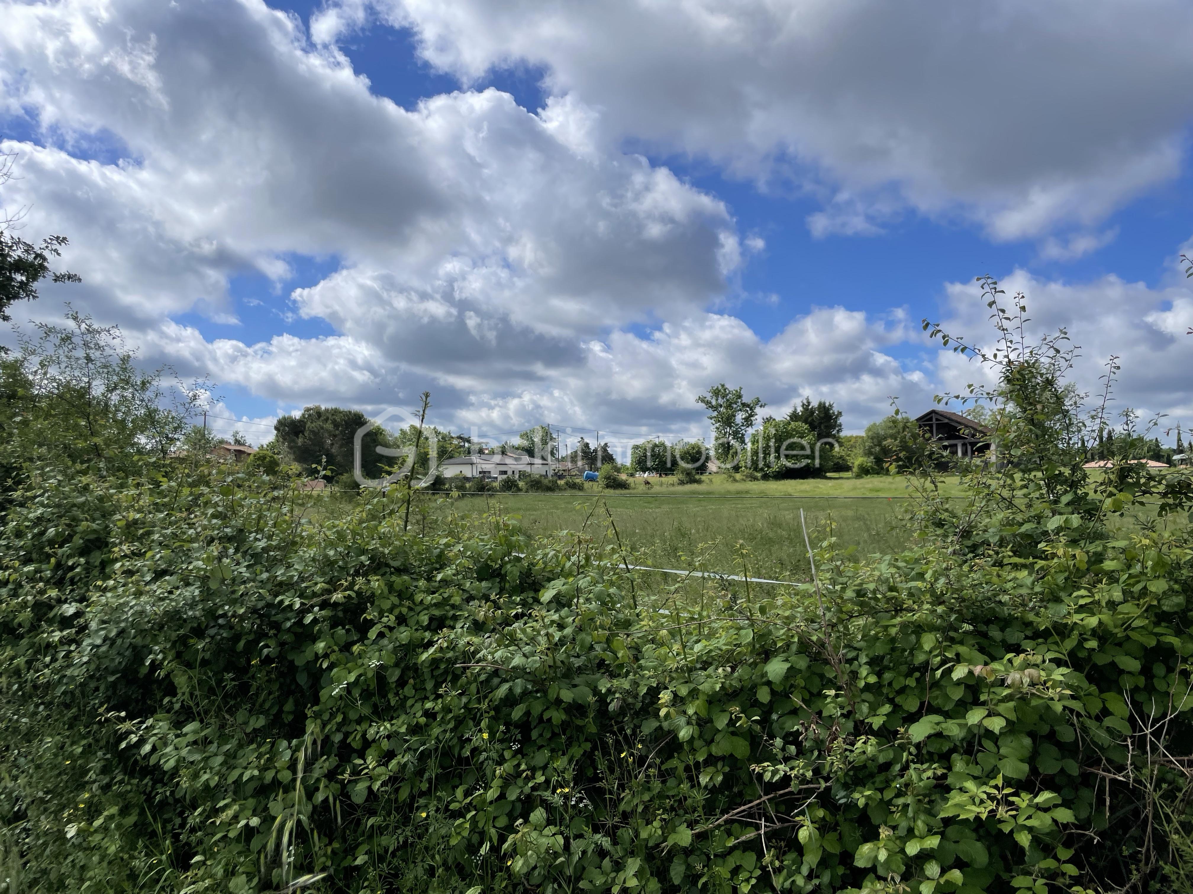 IMG_1861.jpeg