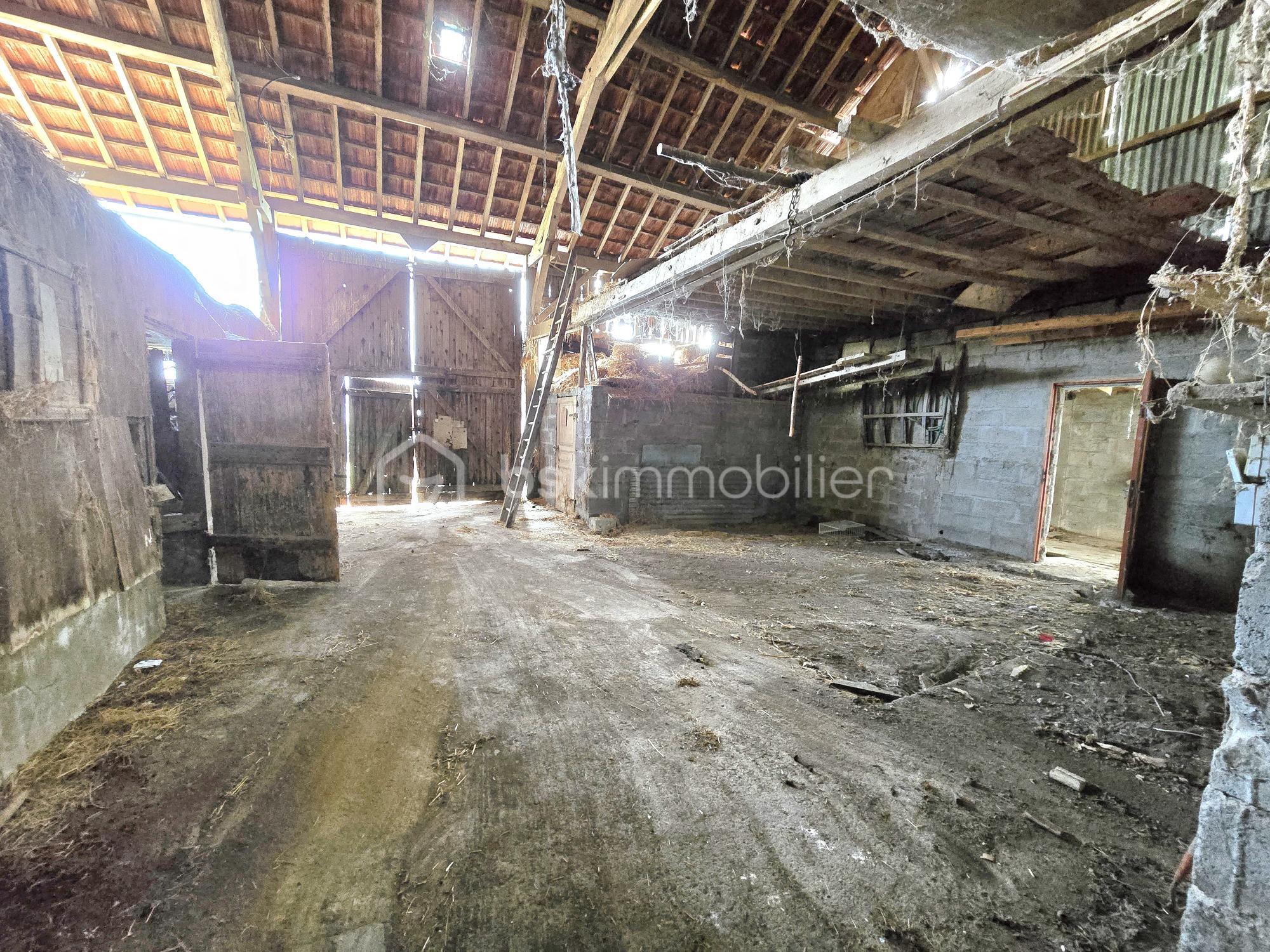 Maison de 65 m² - 20251201_102447.jpg