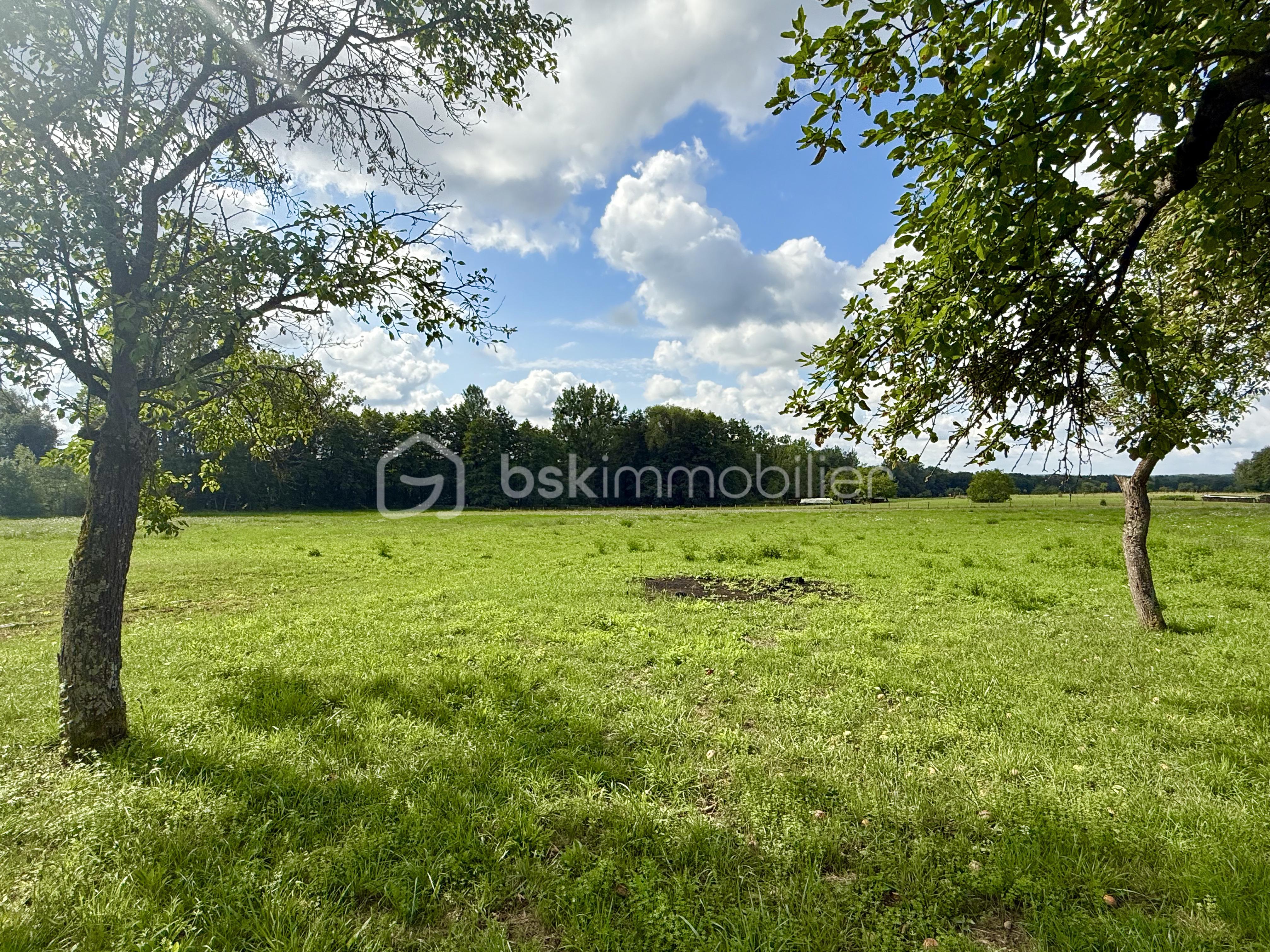 Maison de 149 m² - 03.jpg
