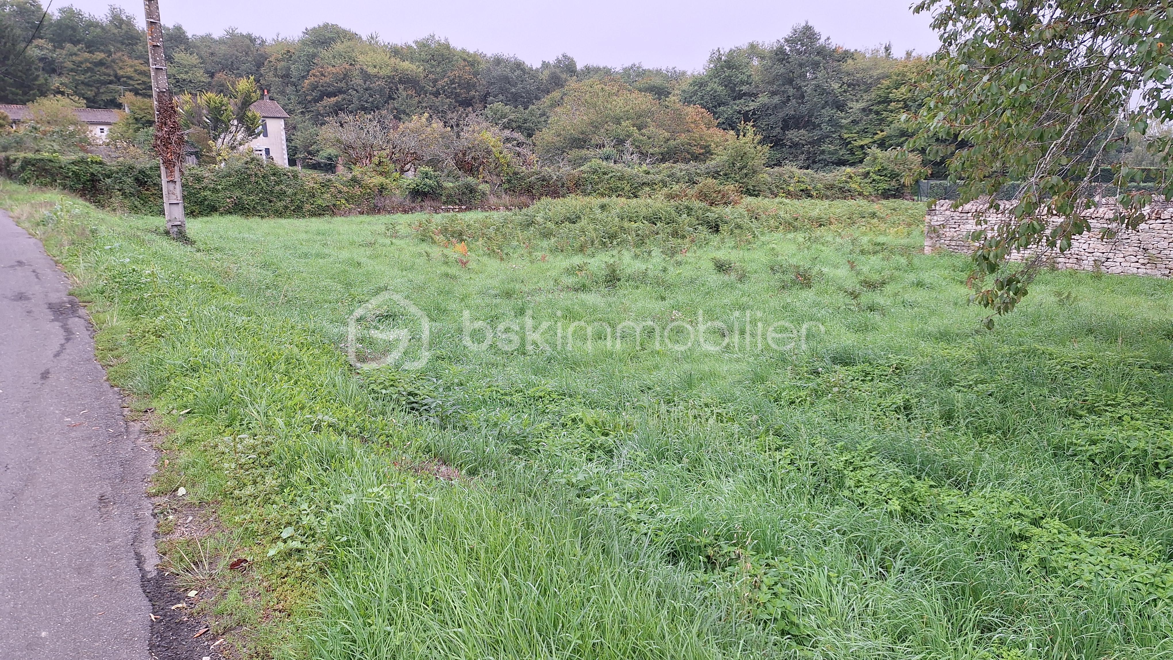 Terrain1.jpg