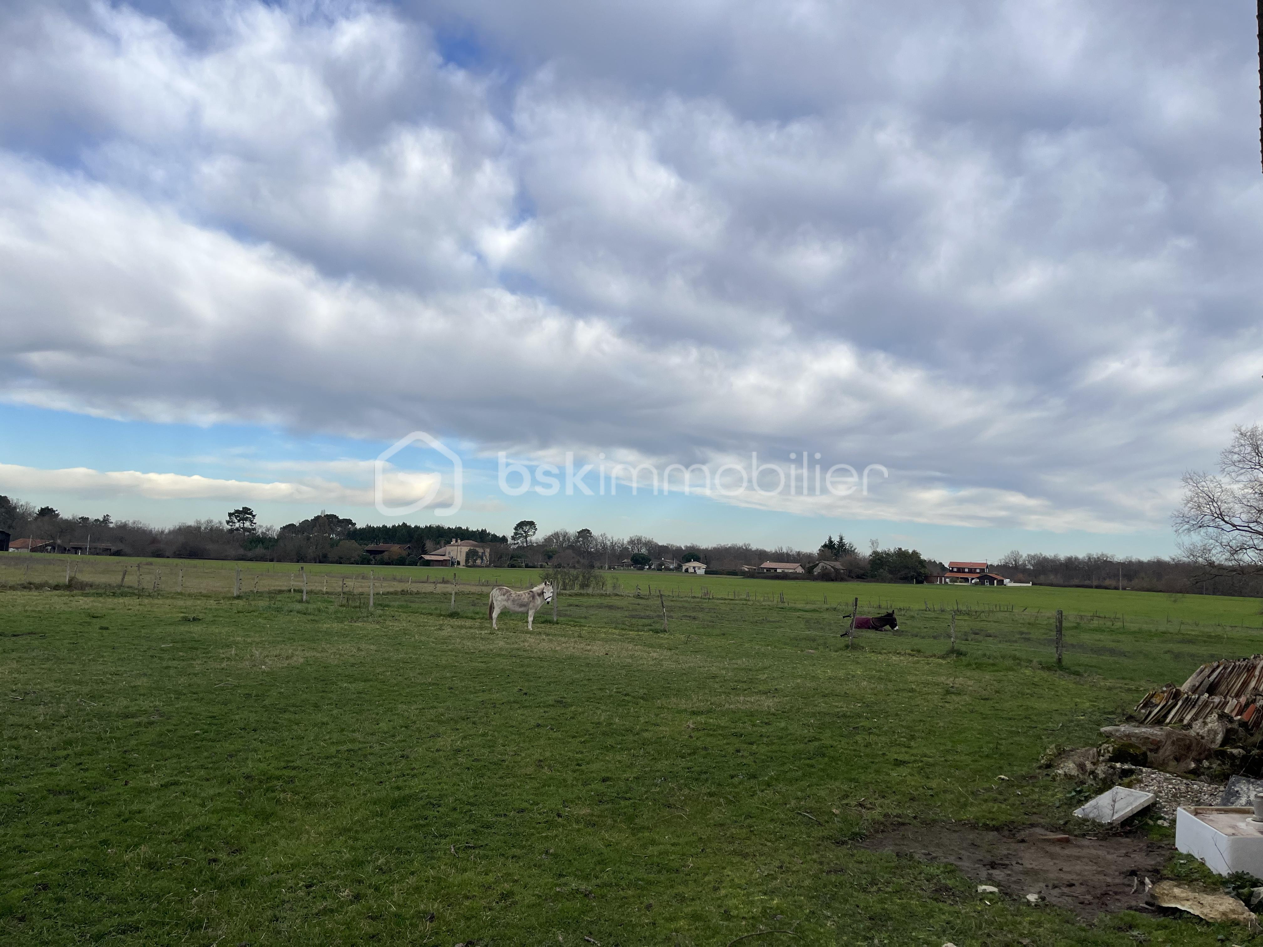 Demeure de 239 m² - tempImage4udeHG.png