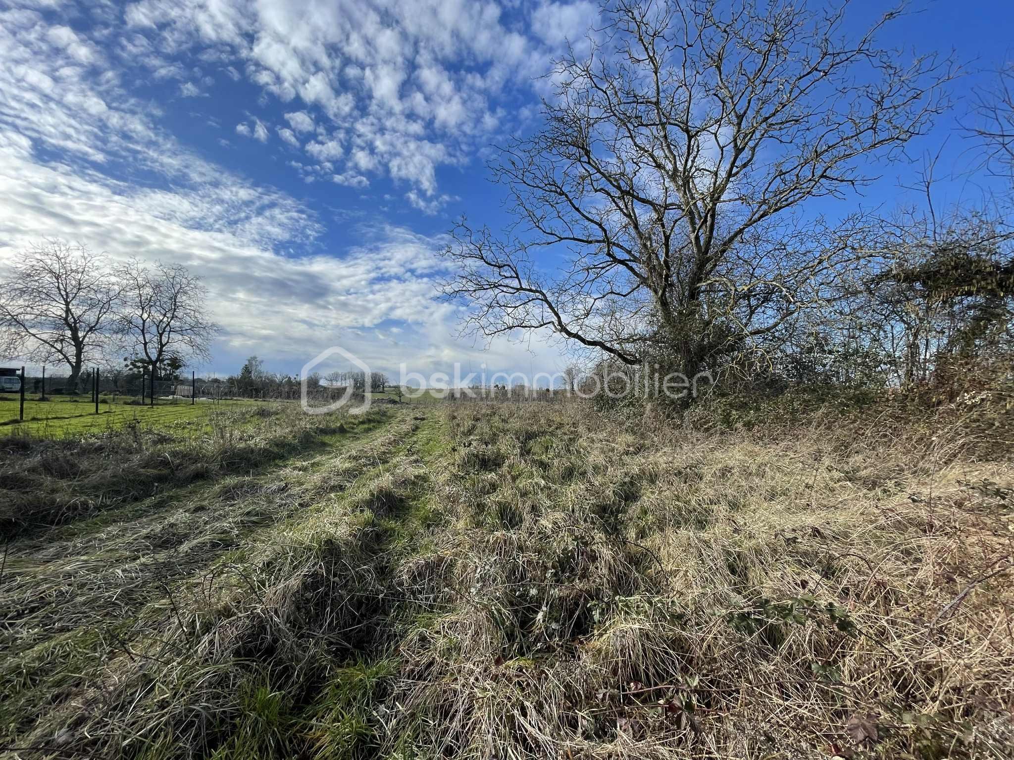 Terrain de 1 132 m² - 10c2076a-19dc-4734-9312-8e7d605c14a3 (1).jfif