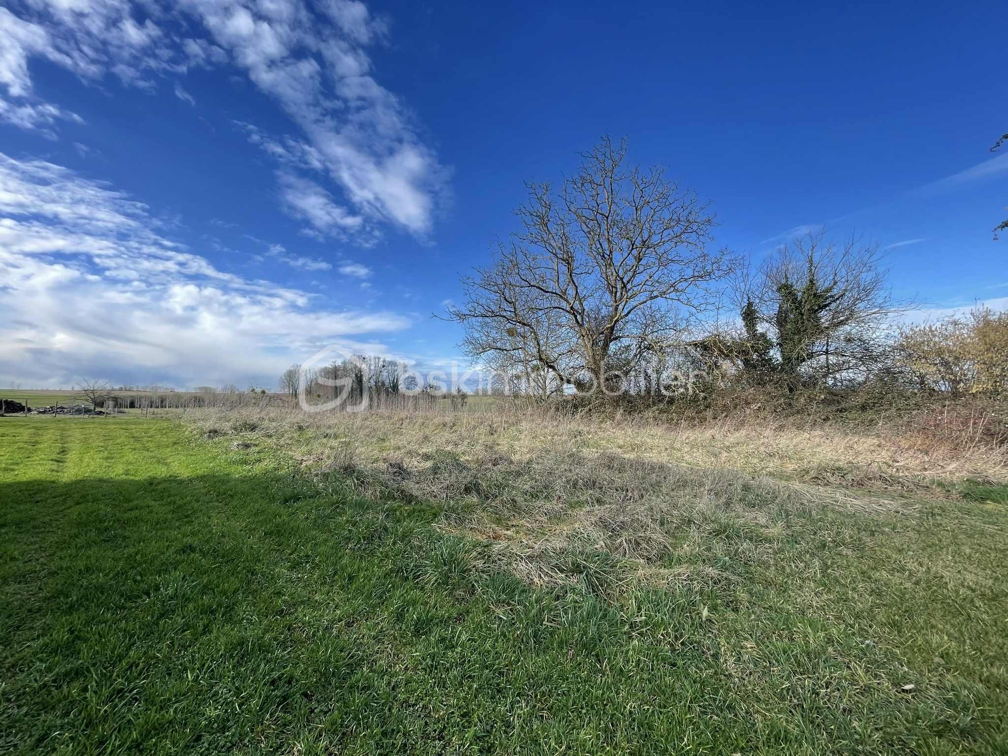 Terrain de 1 132 m²