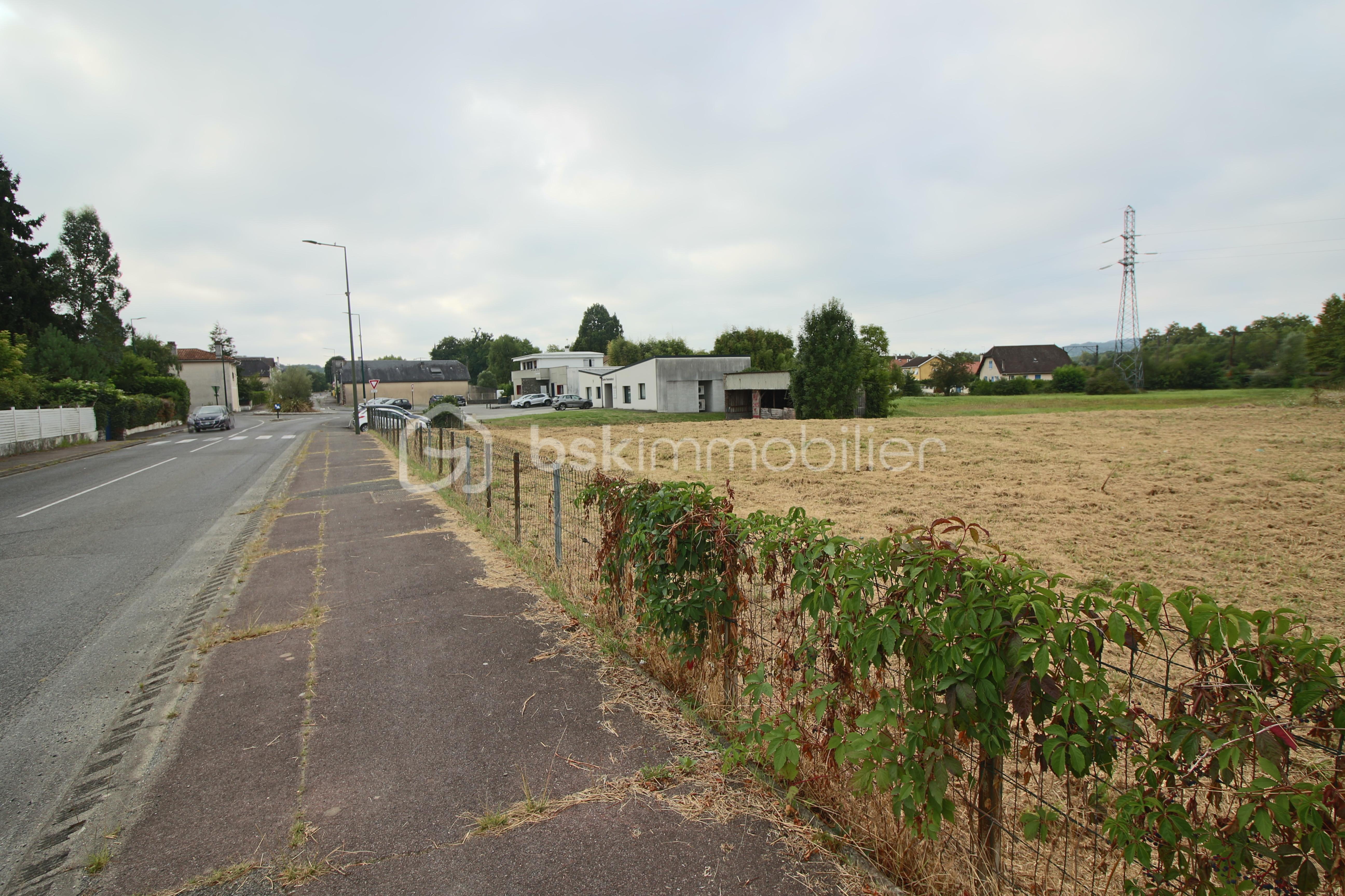 Terrain de 2 115 m² - IMG_2521.JPG