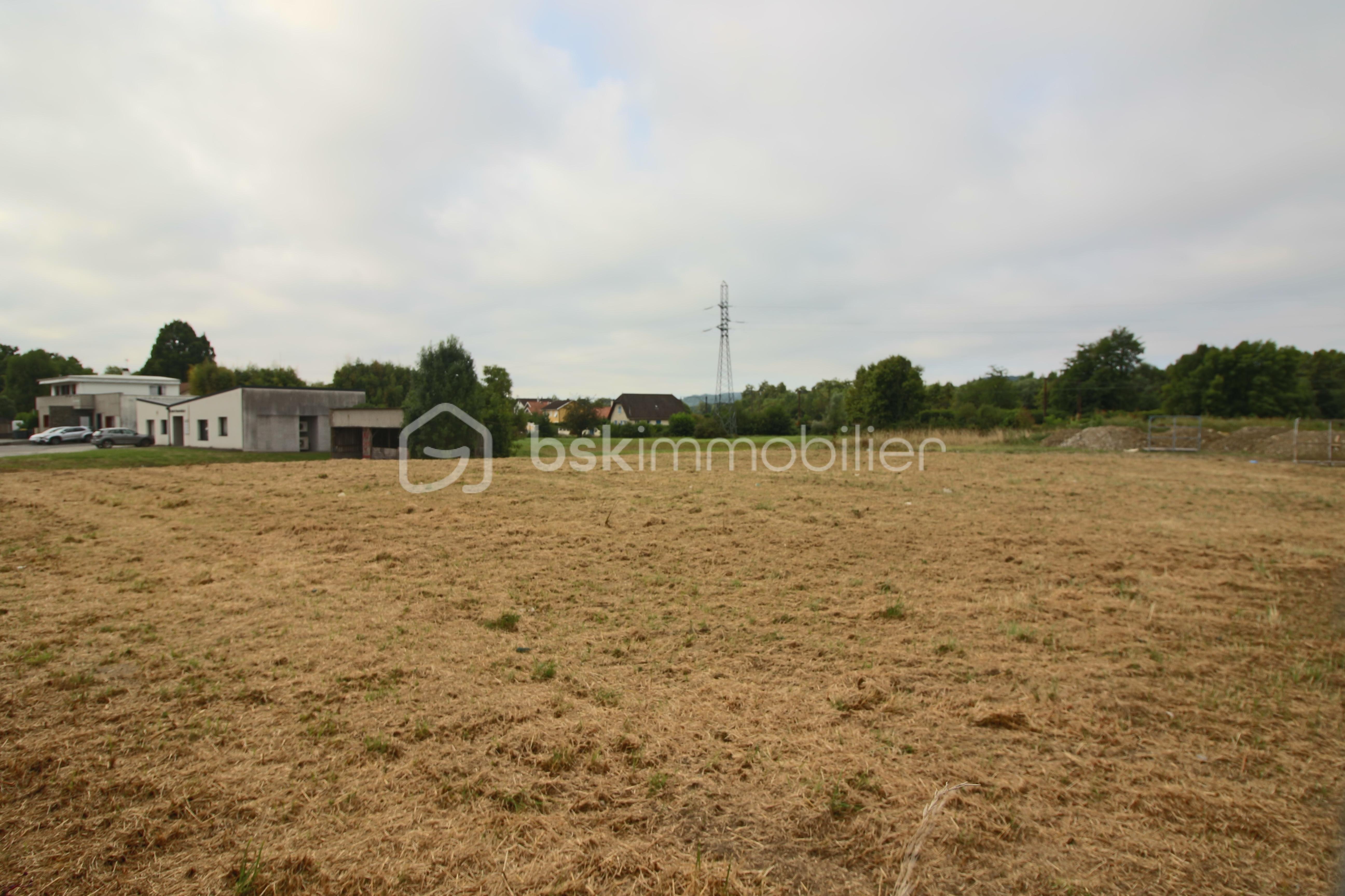 Terrain de 2 115 m² - IMG_2518.JPG