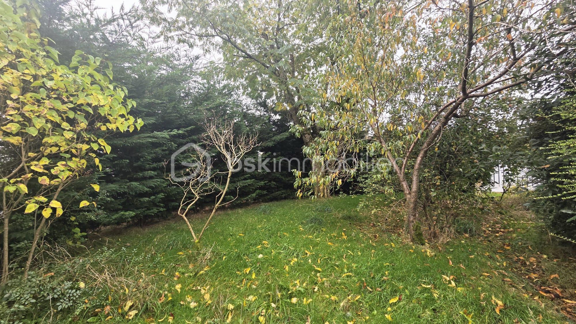 Maison de 115 m² - WhatsApp Image 2025-10-29 à 14.49.27_c7239007.jpg