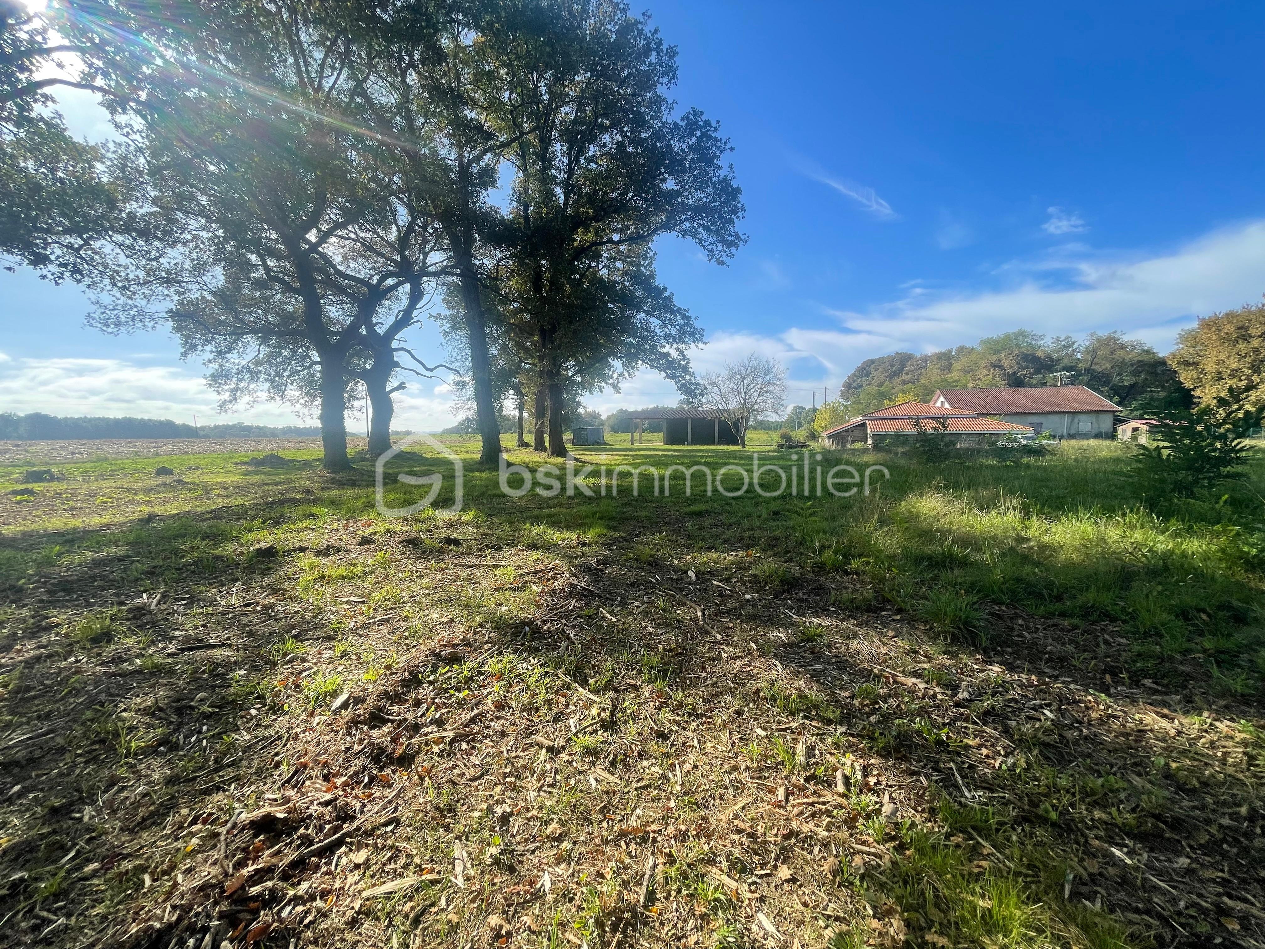 Terrain de 2 811 m² - tempImageRq6K1V - Modifié.jpg