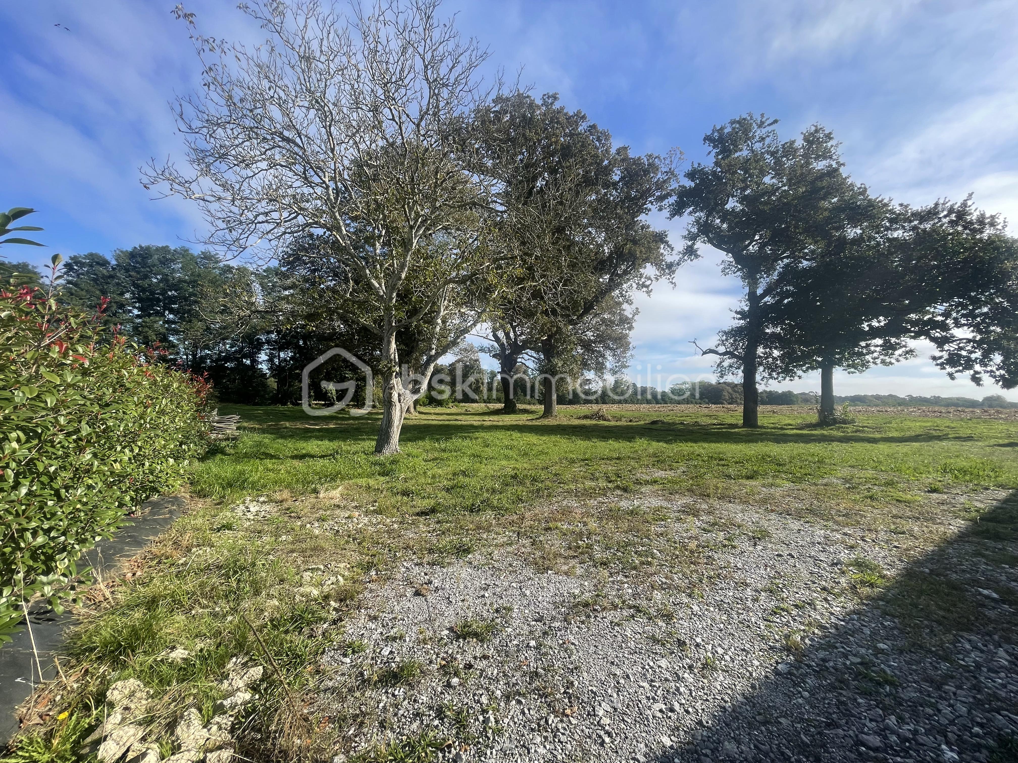 Terrain de 2 811 m² - tempImageU6HhCf.png