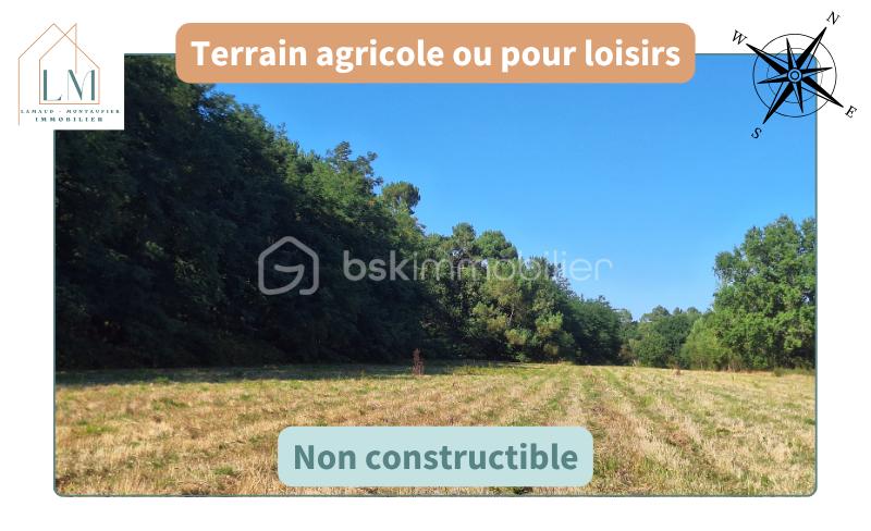 Terrain de loisirs de 13 760 m² - Photos d'annonce - compromis+vente (1).png