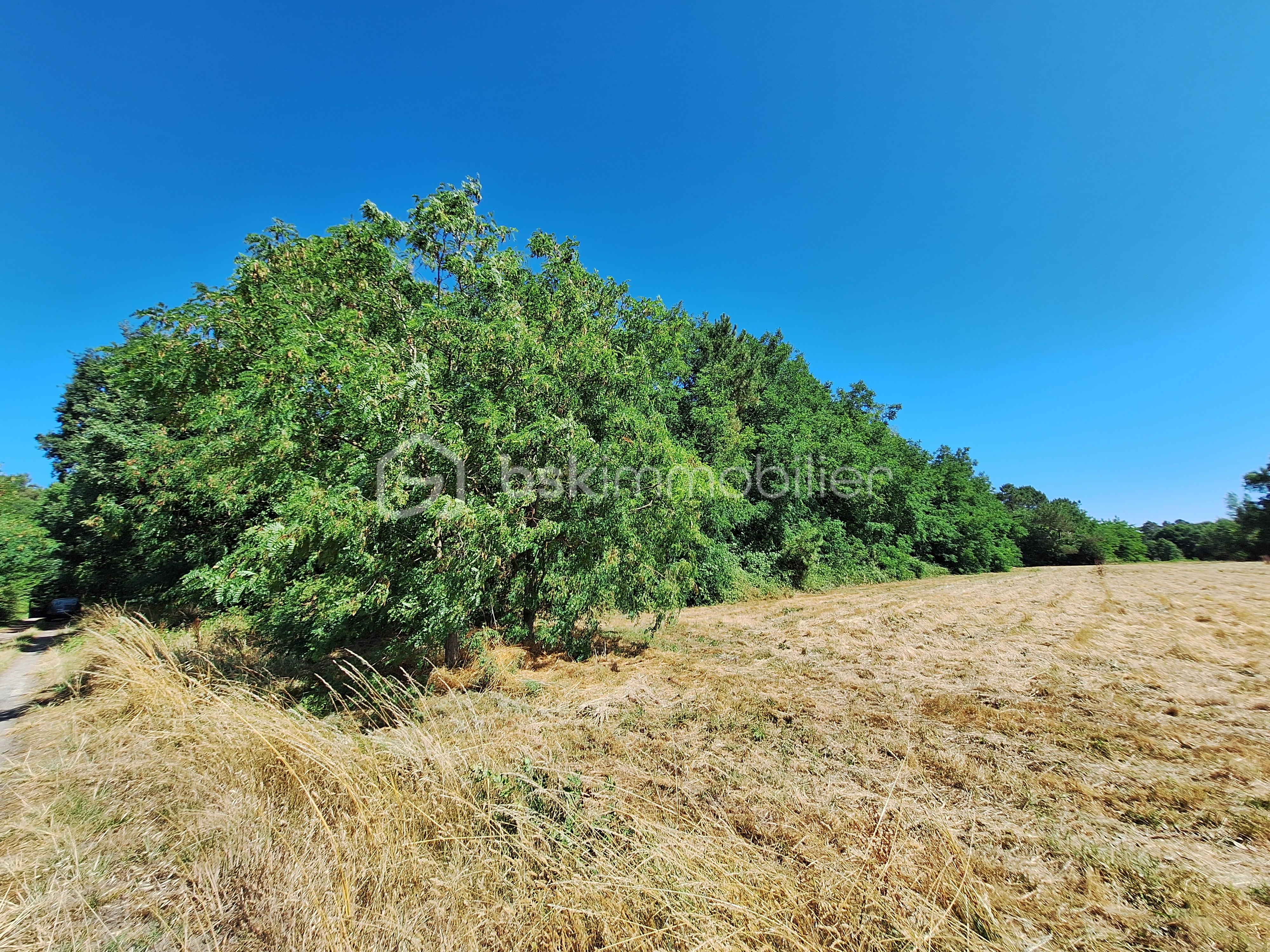 Terrain de loisirs de 13 760 m² - 1.jpg