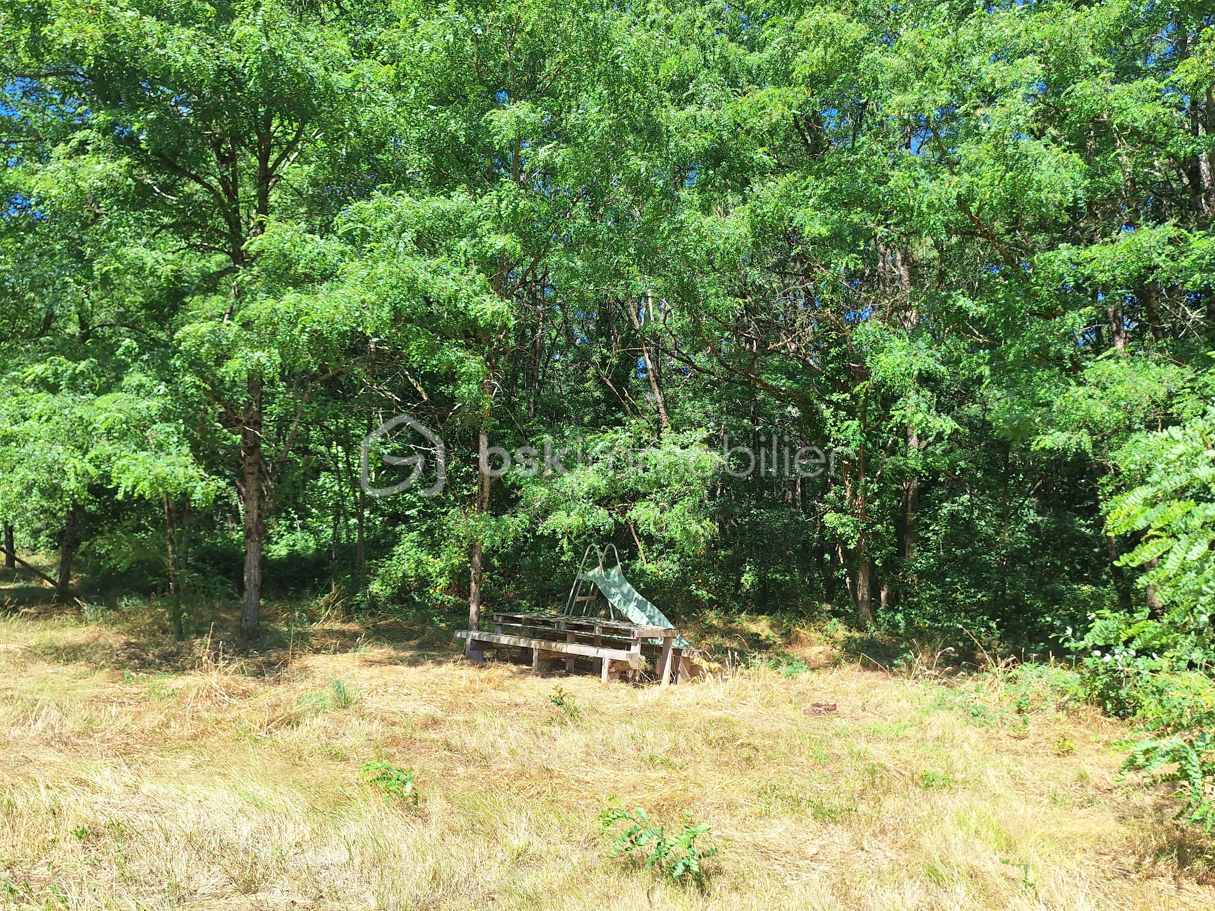 Terrain de loisirs de 13 760 m² - 2.jpg